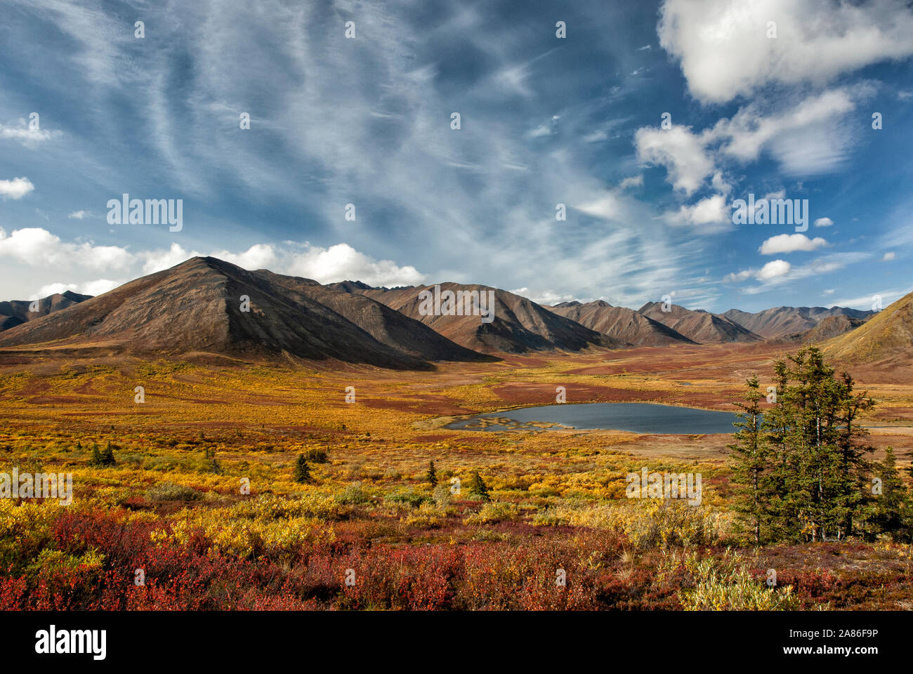 Nordamerika, Kanada, Yukon Territory; Tundra; Herbst Farben Stockfoto