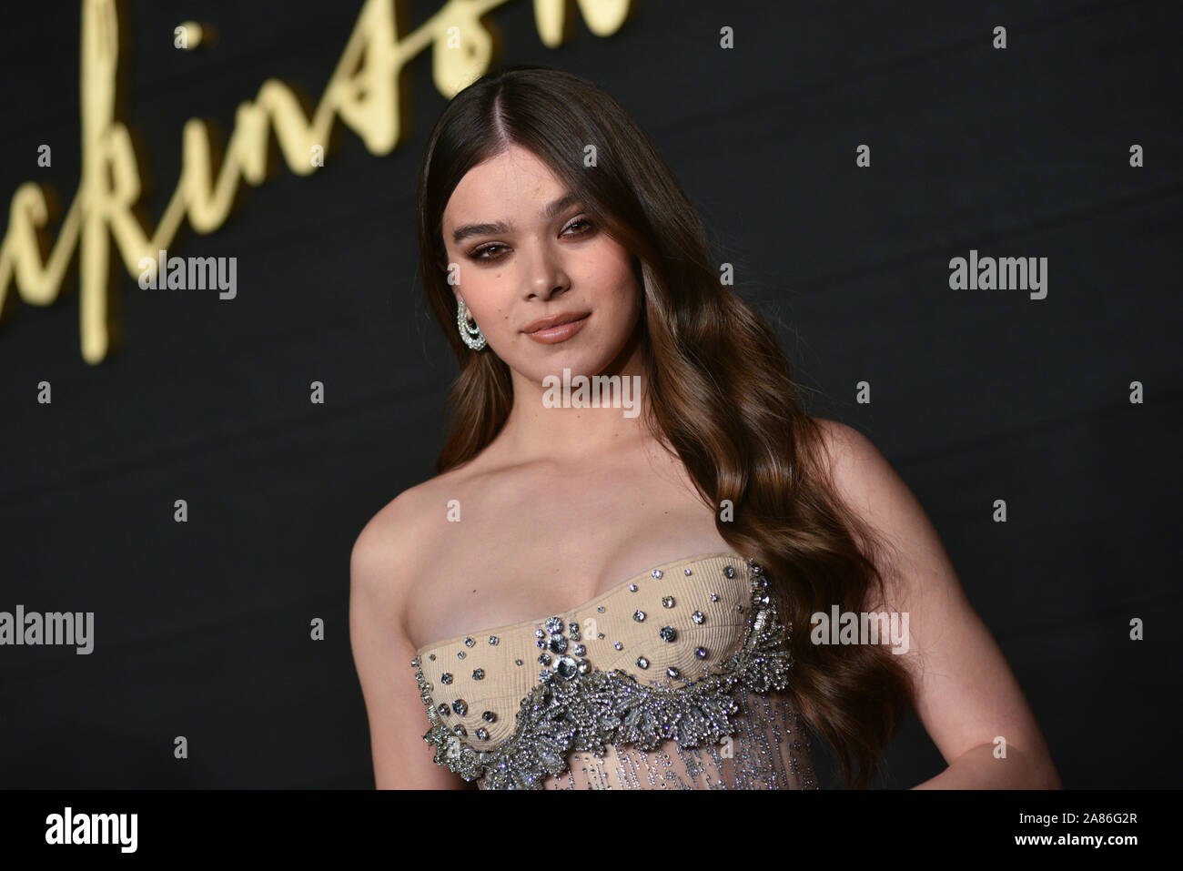 Hailee Steinfeld - "ickinson" TV-Show Premiere, Ankünfte, St. Ann's Warehouse, New York, USA - 17. Oktober 2019 Stockfoto