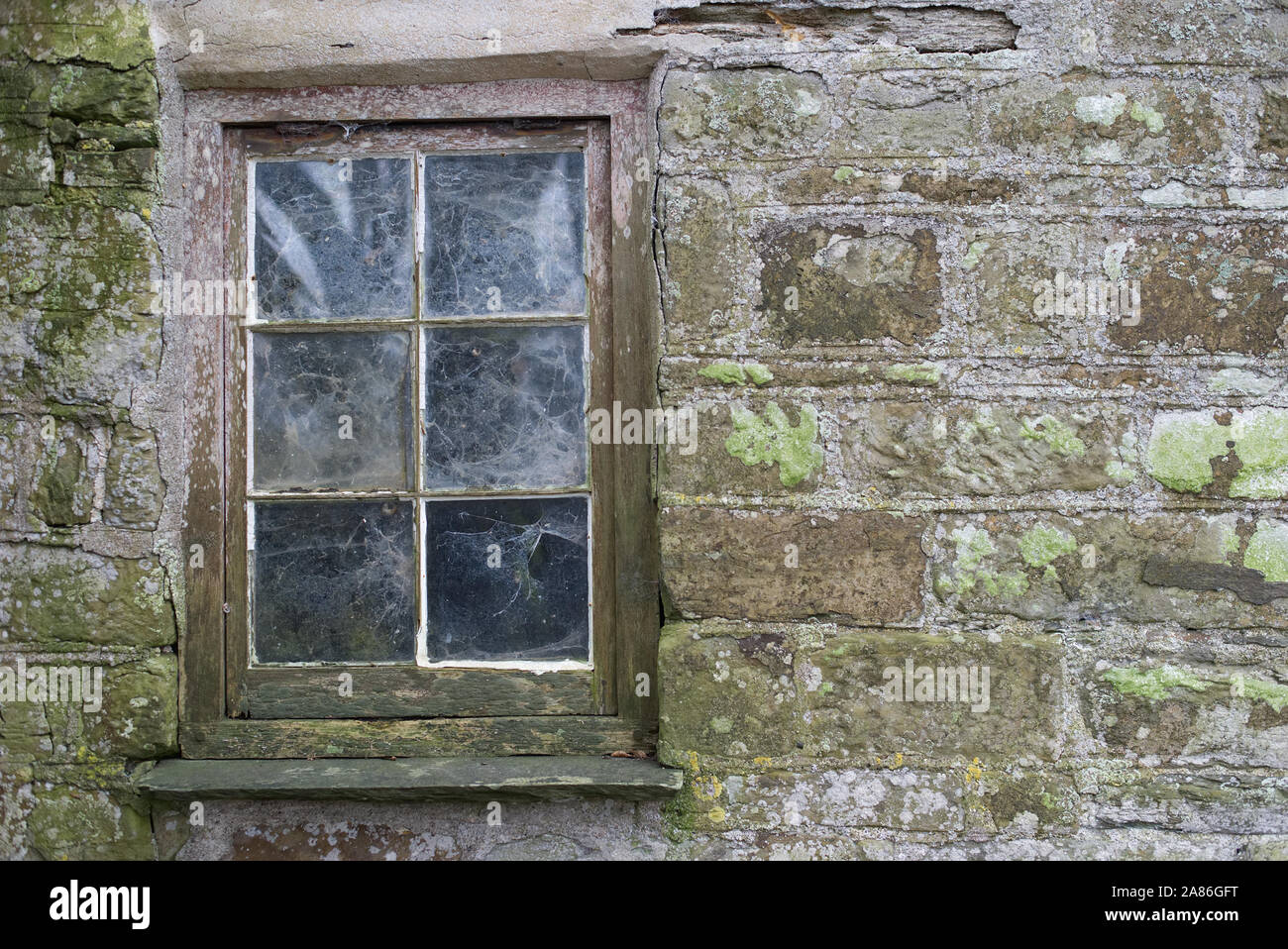 Alte Fenster mit verfallenden Holzrahmen in einem Moos bedeckt grüner Stein Wand mit Spinnweben Spinnweben Stockfoto