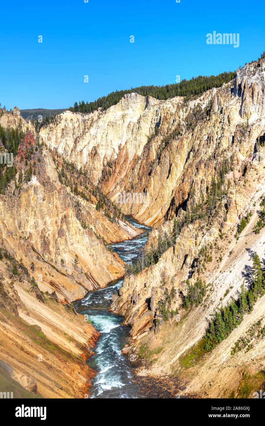 Yellowstone River schlängelt sich durch den Grand Canyon des Yellowstone National Park in Wyoming, USA. Die myraid Coloured Canyon Wänden durch c erodiert wurden Stockfoto