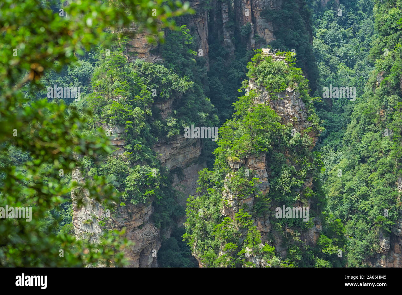 Vertikale karst Säule Rock Formation, wie von der bezaubernden Terrasse Sicht gesehen, Avatar Berge Natur Park, Niagara-on-the-Lake, China Stockfoto