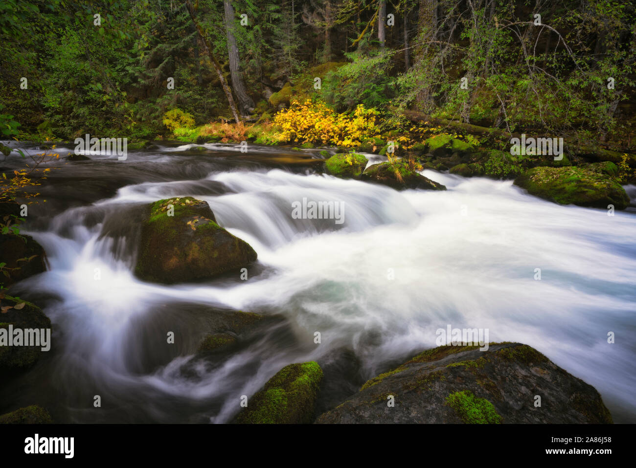 Im Herbst fließen der wilden und malerischen Oberen Clackamas Fluß rauscht durch die Oregon Mount Hood National Forest. Stockfoto