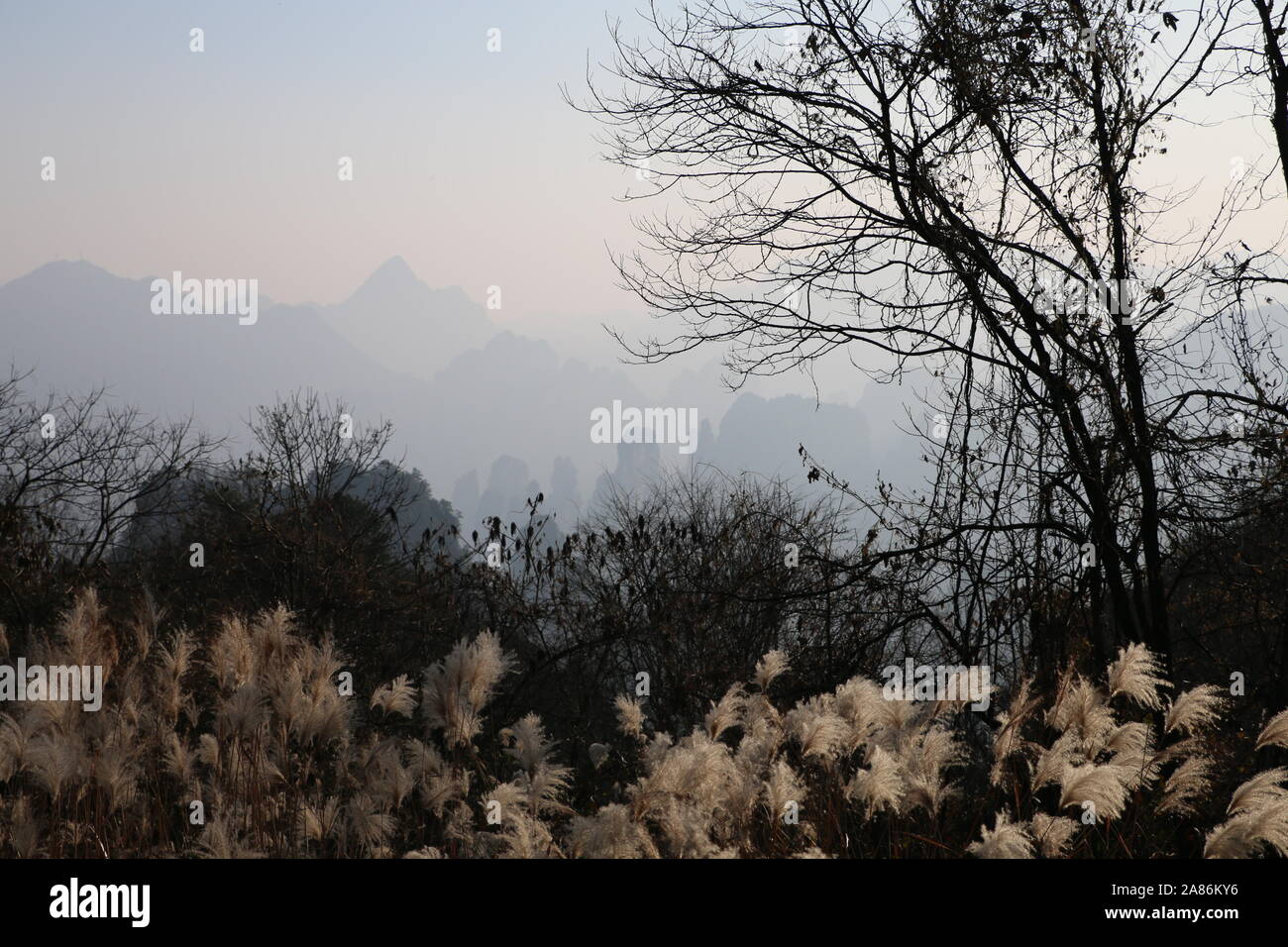 Landschaft von Zhangjiajie, China Stockfoto