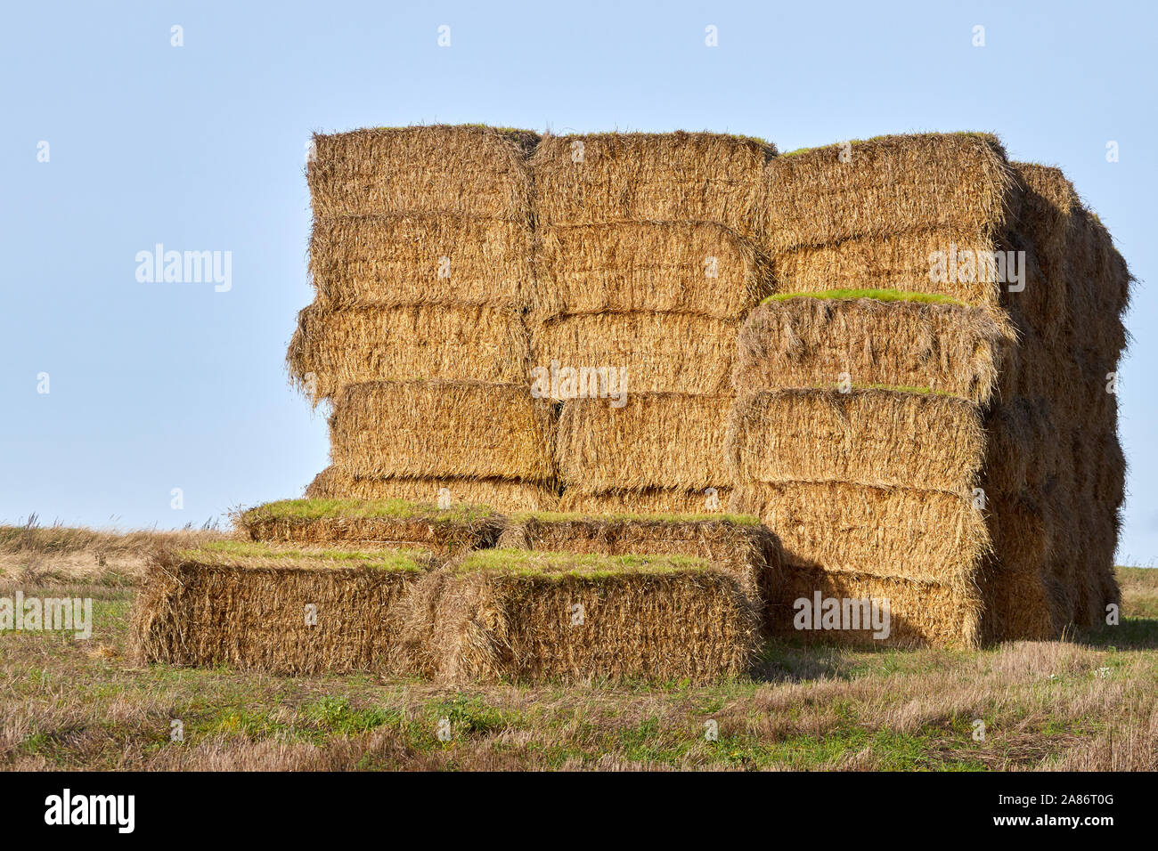 Heuhaufen auf einem Feld im Herbst. Stockfoto