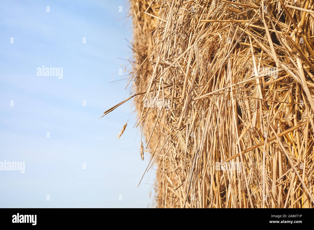 In der Nähe Bild von einem Heuhaufen gegen den Himmel, selektive konzentrieren. Stockfoto