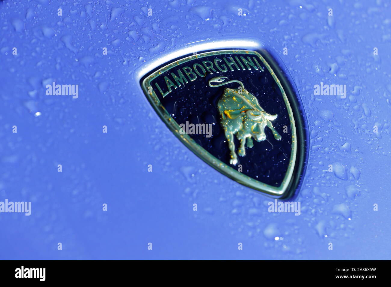 Lamborghinis ist Abends beleuchtet für eine private Veranstaltung im neuen Lamborghini Händler in Leeds. Der Store offiziell am 7. November geöffnet. Stockfoto