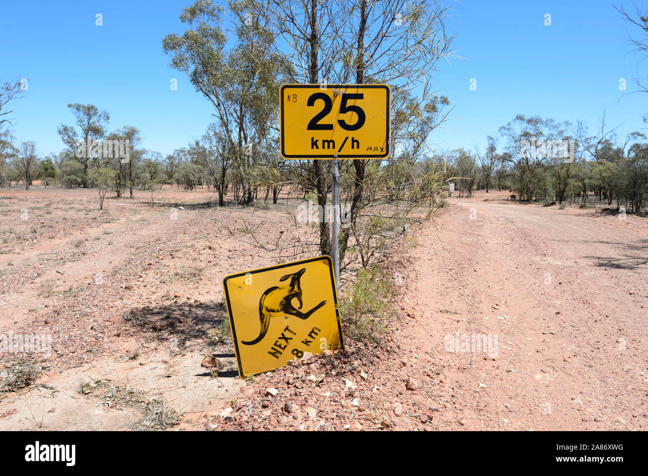Schild Warnung vor kängurus im Outback, den Grawin, Queensland, Queensland, Australien Stockfoto