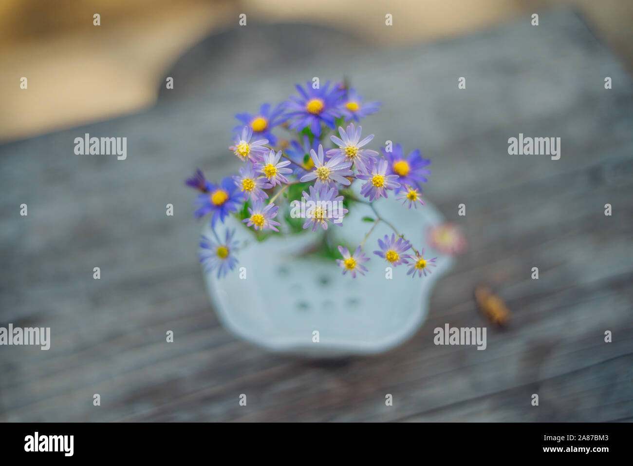 Eine Tischdekoration mit Blumen in den kleinen Pod der Outdoor Cafe in Südkorea, Chrysantheme Stockfoto