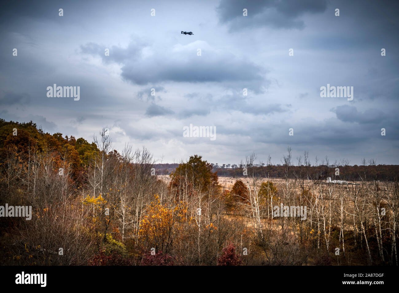 Gemeinsame Klemme Attack Regler aus dem Lettischen Nationalen Streitkräfte Verhalten schließen Air Support Training mit A-10 Thunderbolt II Flugzeuge der 107 Fighter Squadron, Selfridge Air National Guard Base, mich auf Äschen Antenne Gunnery Range in Gewässern, Mich., 29. Oktober 2019 vergeben. Michigan und Lettland haben unter den US-amerikanischen National Guard Bureau Partnerschaft seit 1993 verbunden. Die Zusammenarbeit zwischen JTACs in der Lettischen Nationalen Streitkräfte und die Michigan Air National Guard ist eine der produktivsten Beispiele für bilaterale Zusammenarbeit im Bereich der Verteidigung in der. Stockfoto