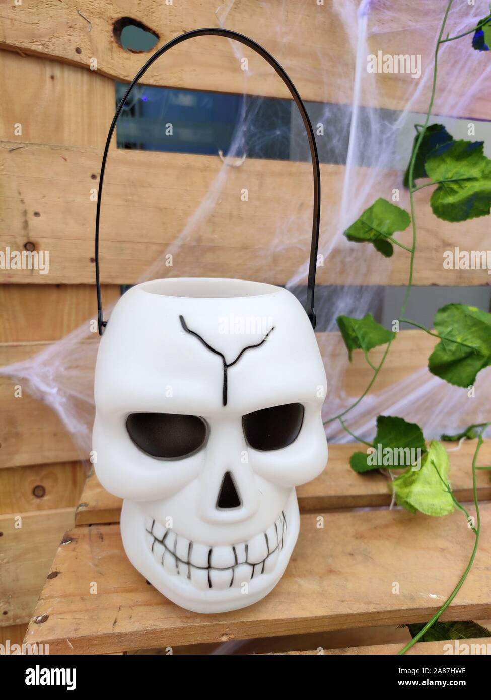 White Skull mit Griff und Spinnennetz auf dem hölzernen Hintergrund Stockfoto