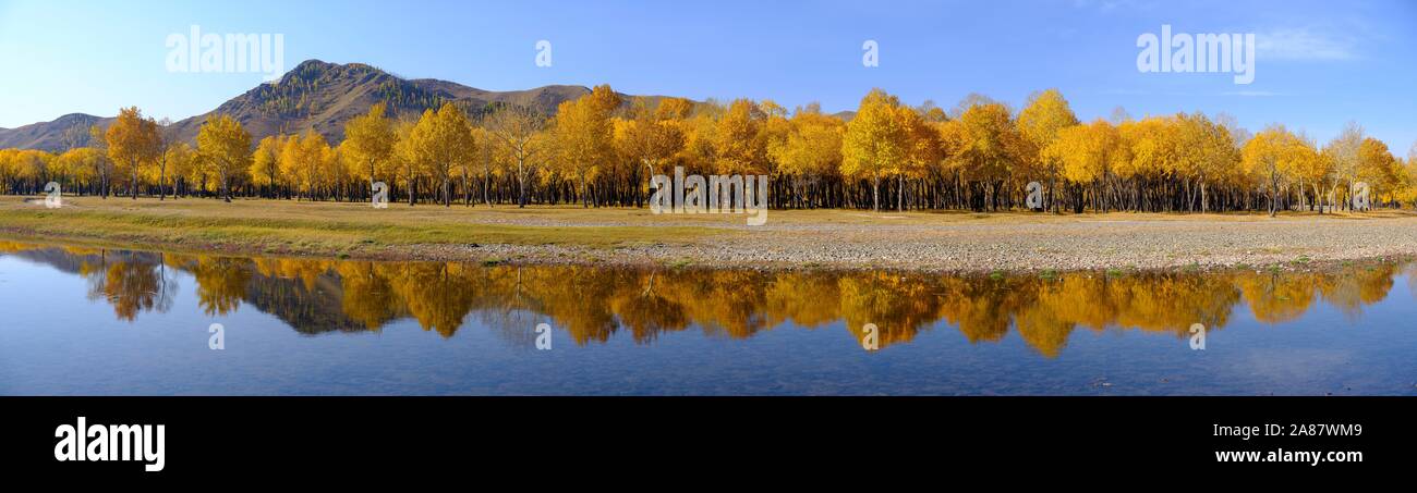 Panorama, autumnally farbige Bäume sind in der Tuul Fluss am Eingang des Gorchi Terelj Nationalpark, Ulan Bator, Mongolei wider Stockfoto