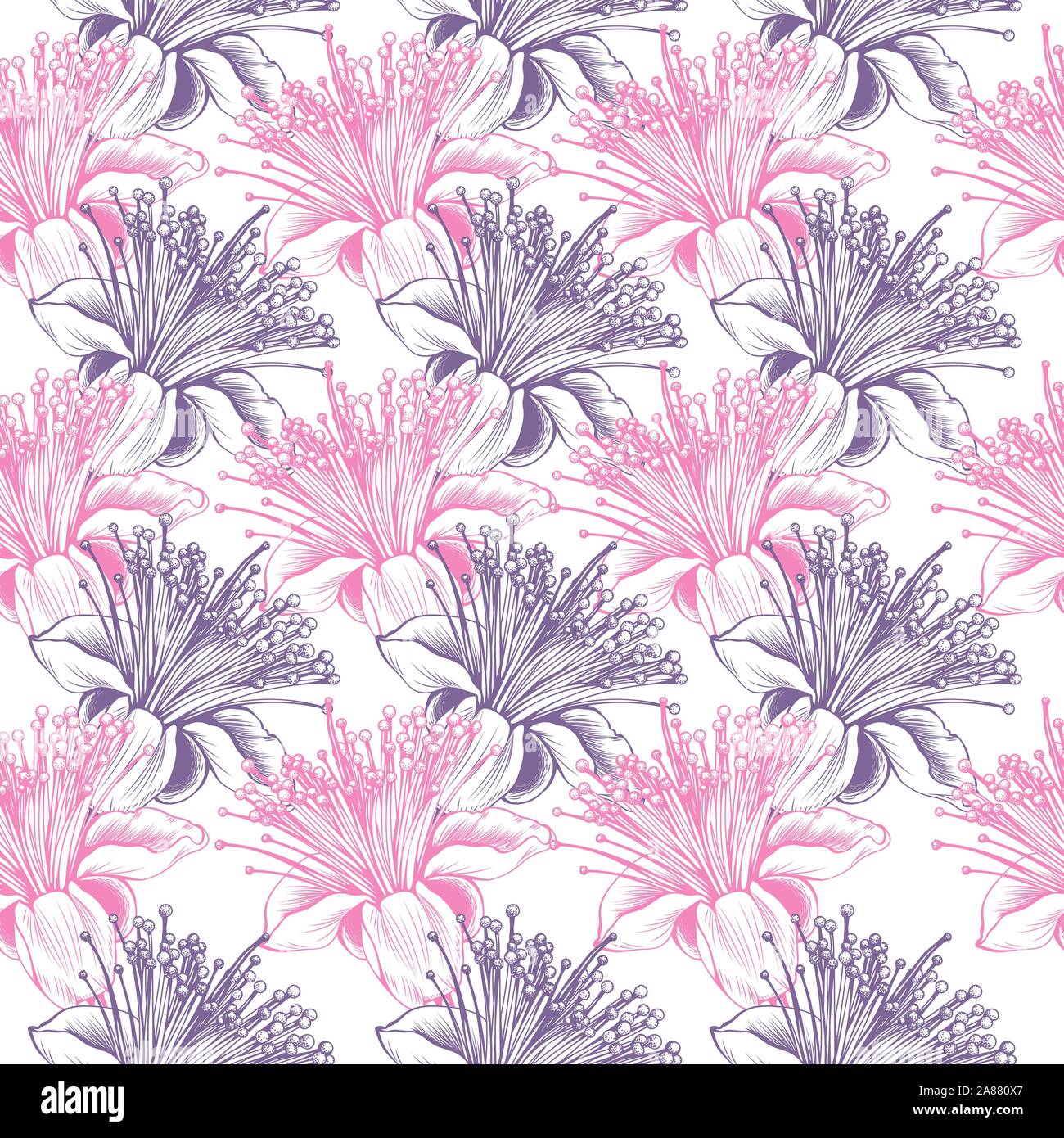 Feijoa Blume nahtlose Vektor Muster. Rosa und Violett romantischen Farben Blumen Muster für Valentines Tag liebe Design. Stoff textile Oberfläche oder Hintergrund Stock Vektor