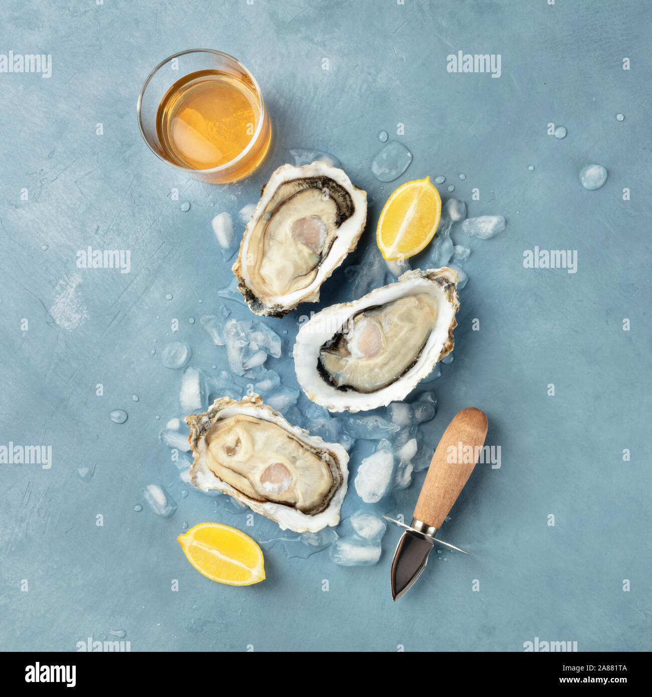 Frische rohe Austern, square Top Shot auf Eis mit einem Glas Weißwein, Zitronenscheiben und ein Entfernen der Schalen Messer Stockfoto