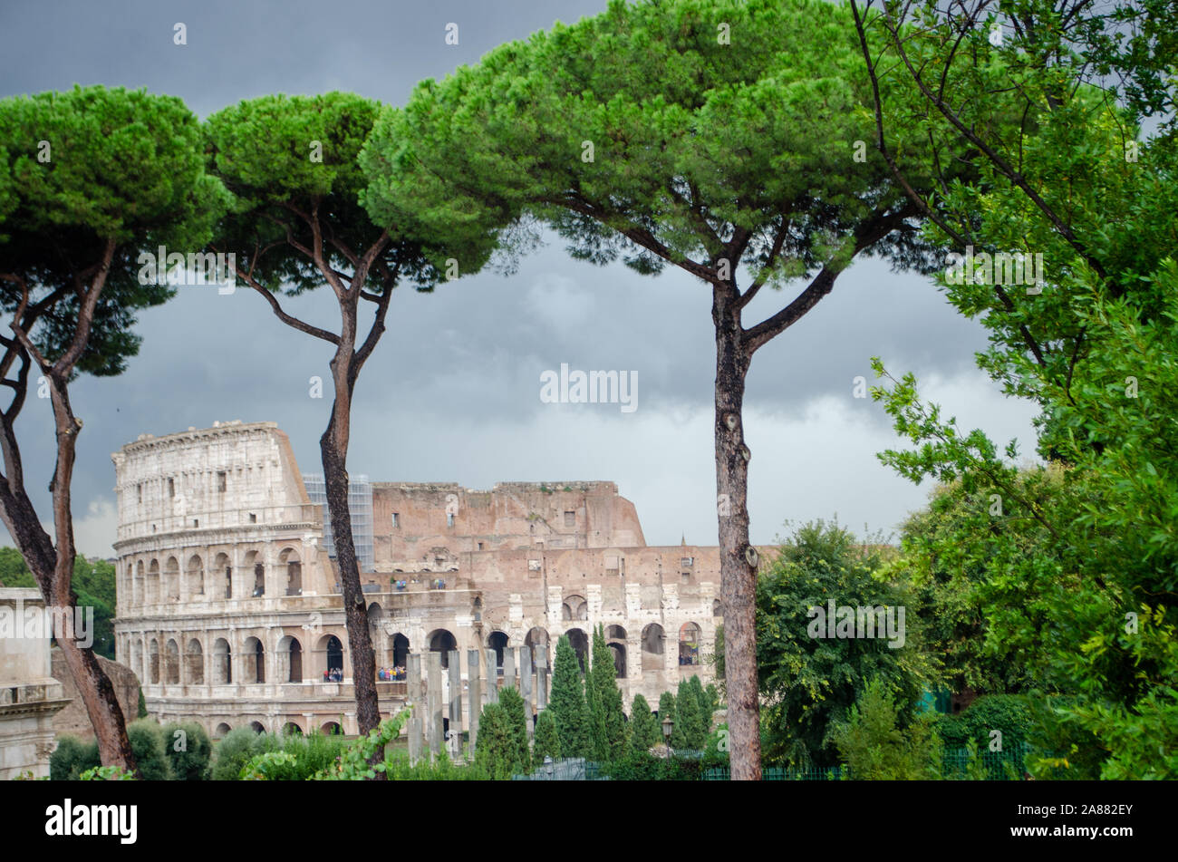Kolosseum Schauen durch Bäume Stockfoto