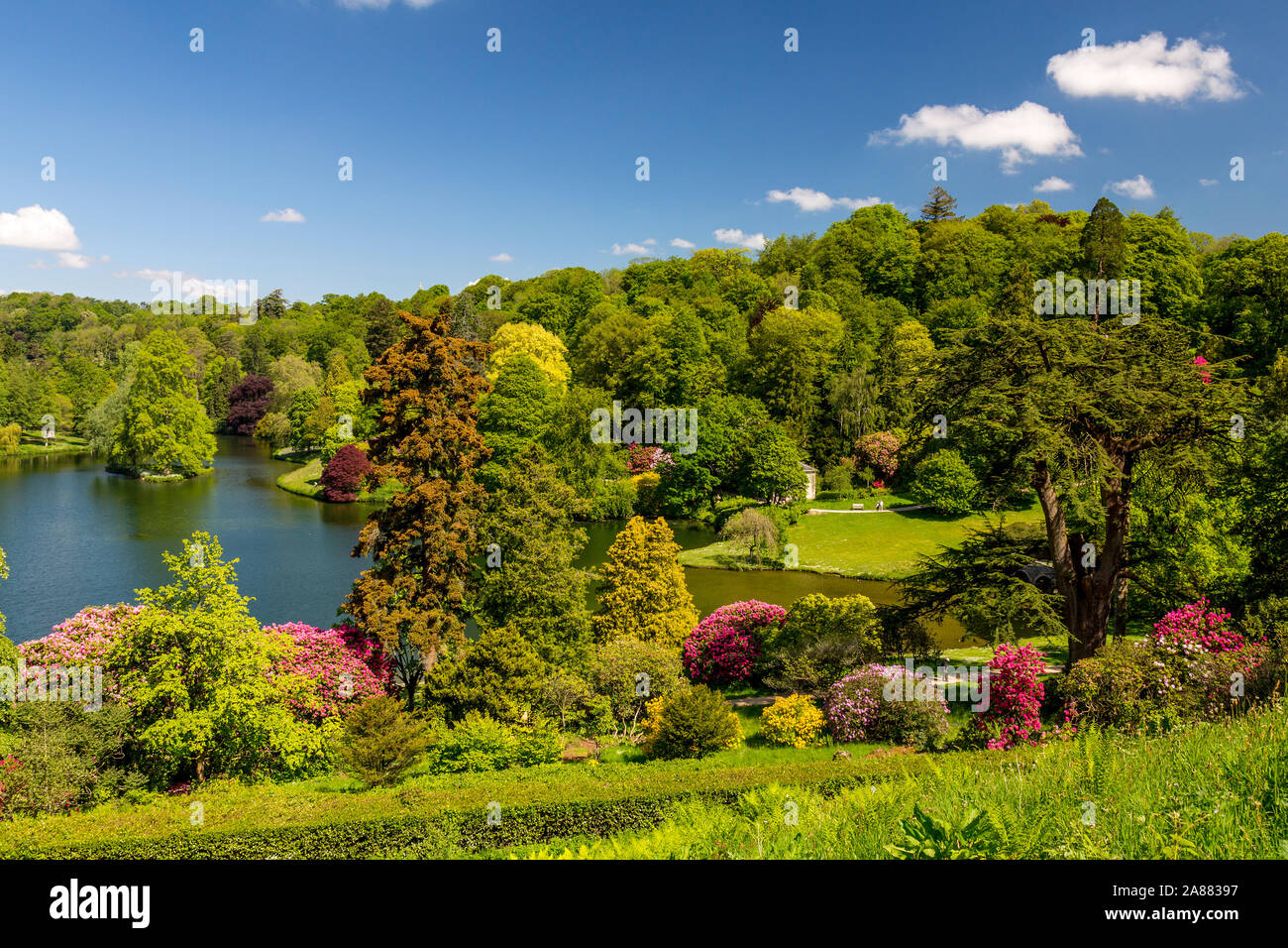 Die leuchtenden Farben der Rhododendron Blumen umgeben den See im Frühjahr an Stourhead Gardens, Wiltshire, England, Großbritannien Stockfoto