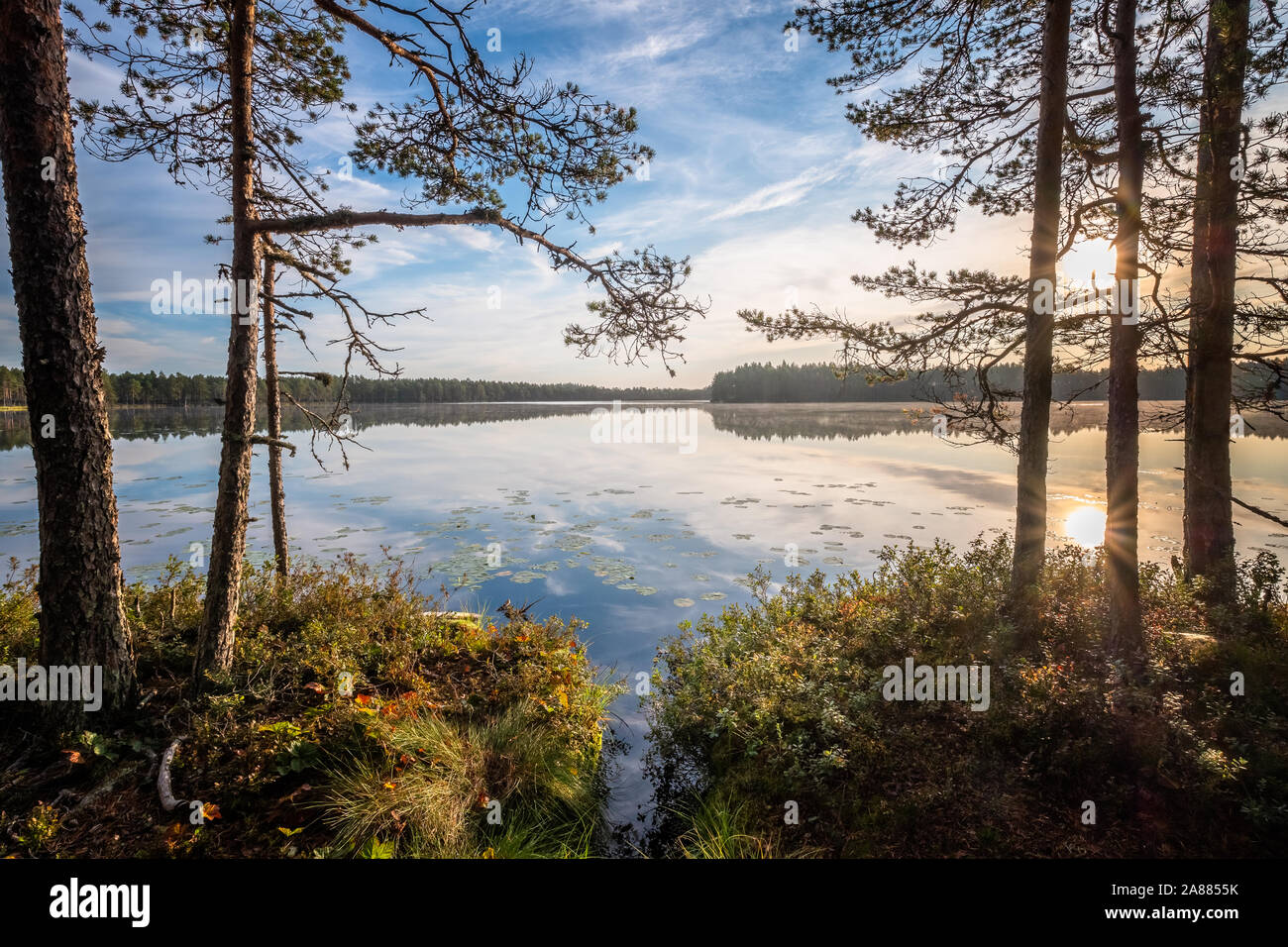 Malerische Sonnenaufgang Landschaft mit See und Wald an friedlichen Sommermorgen in Finnland Stockfoto