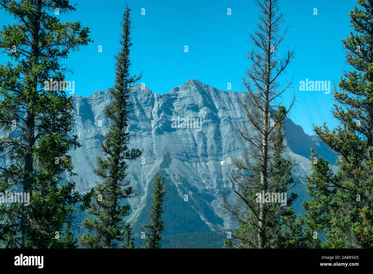 Kanadische Rockies von einer Einzelkabine auf dem Kanadischen, über die der Schiene trans-Kanada von Vancouver nach Toronto Stockfoto