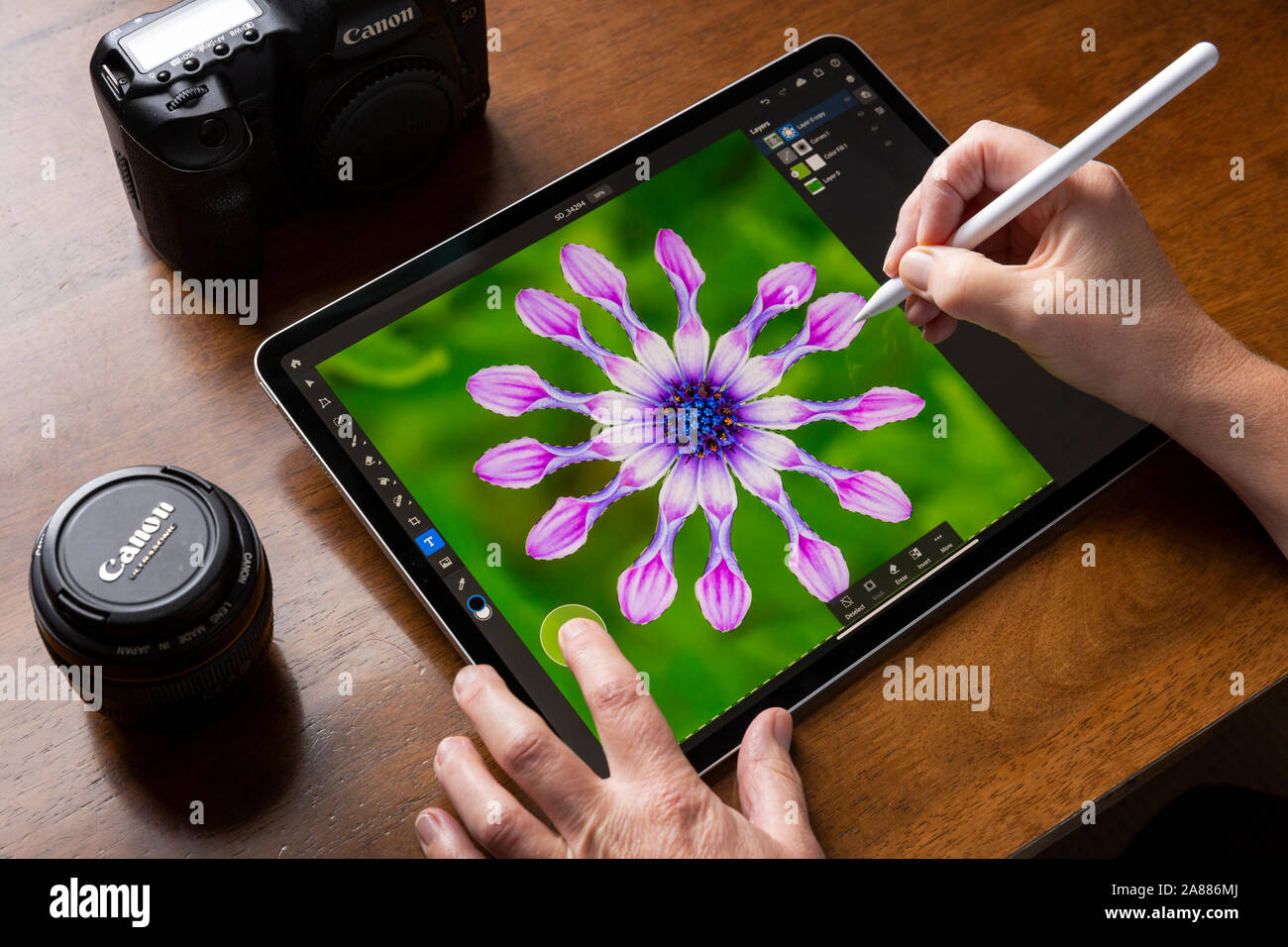 Badewanne, Großbritannien - 7 November 2019: in der Nähe von jemand mit einem iPad Pro die iOS-Software Adobe Photoshop App einer Auswahl eines Osteospe zu machen Stockfoto