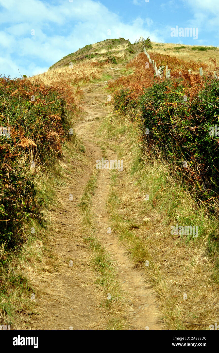 Steilen Gras weg auf einen Hügel auf der Ceredigion Küstenweg gehen, Teil der alle Wales Coast Path, Großbritannien Stockfoto