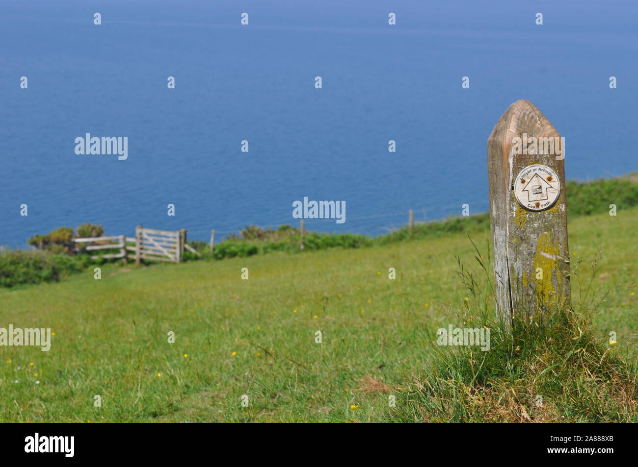 Ein Wegweiser zeigt den Weg auf die ceredigion Küstenweg, Teil der alle Wales Coast Path Stockfoto