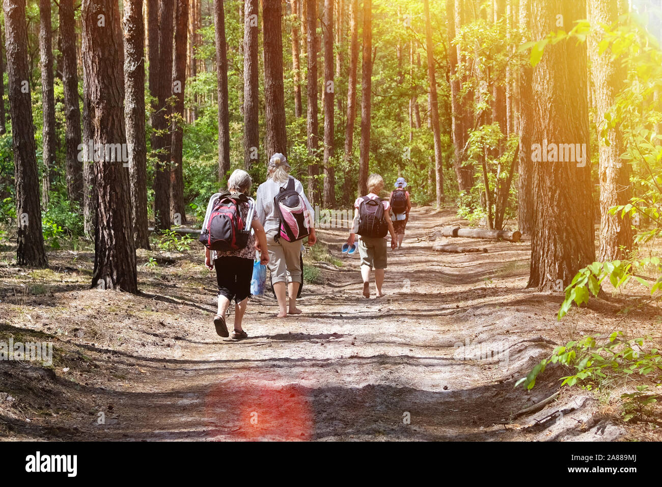 Ältere Menschen bei einem Spaziergang im Park. Sommertag. Aktive Pensionierte Senioren wandern im Green Park. Stockfoto
