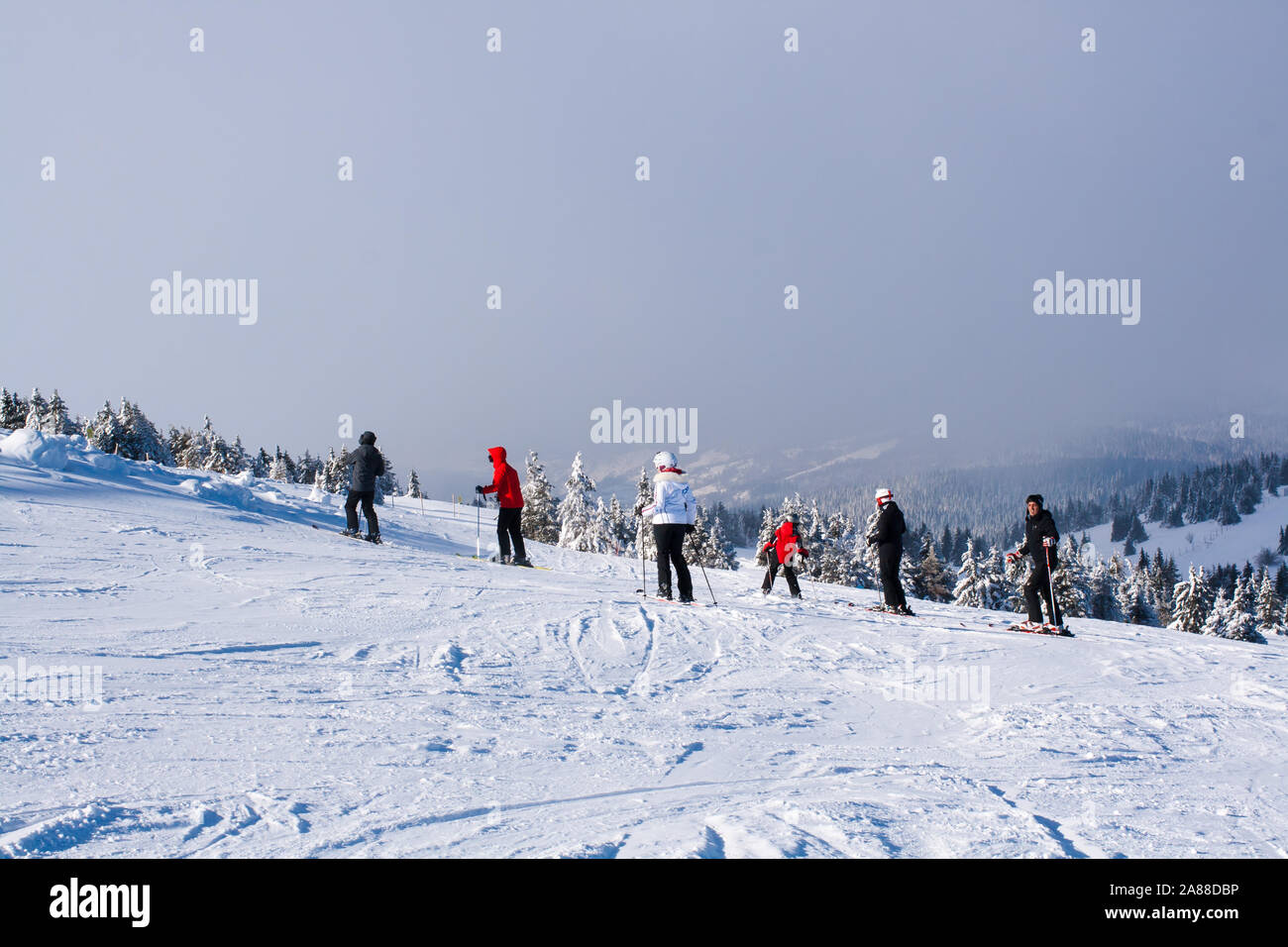 Kopaonik, Serbien - Januar 22, 2016: Skigebiet Kopaonik, Serbien, Skipiste, Leute unten Ski den Hügel, Berge, Nebel Stockfoto