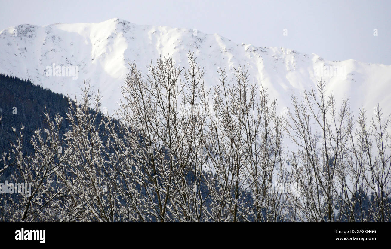 Winterlandschaft in den österreichischen Alpen Stockfoto