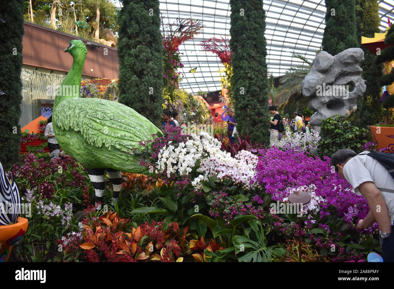 Blume Dome, Singapur, Asien, 14. August 2019: schöne Pfau aus Blumen im Garten Stockfoto