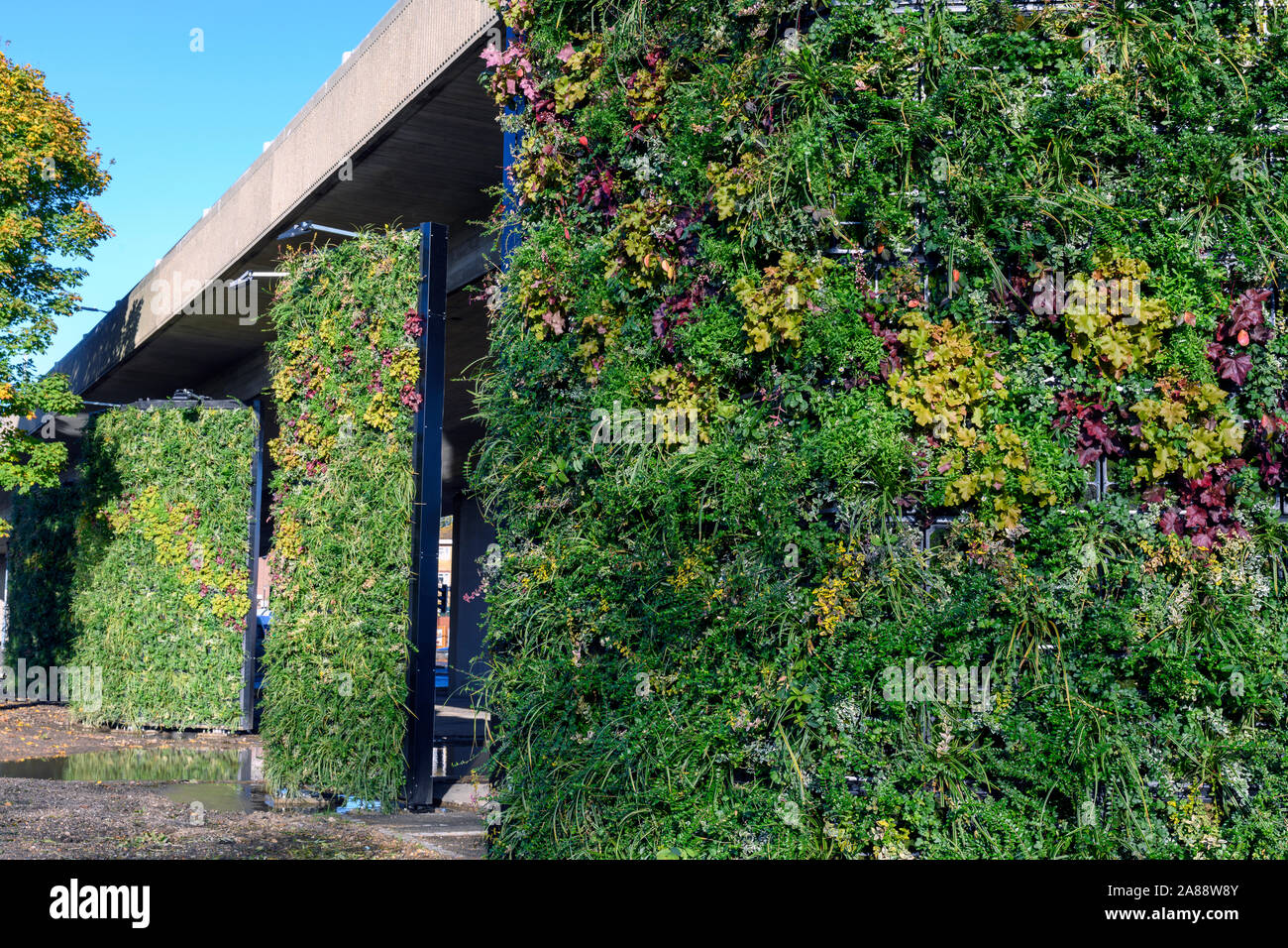 Vertikale Gärten - grüne Wände - Verschmutzung an einem verkehrsreichen Kreisel, Millbrook, Southampton, Hampshire, England, Großbritannien Stockfoto