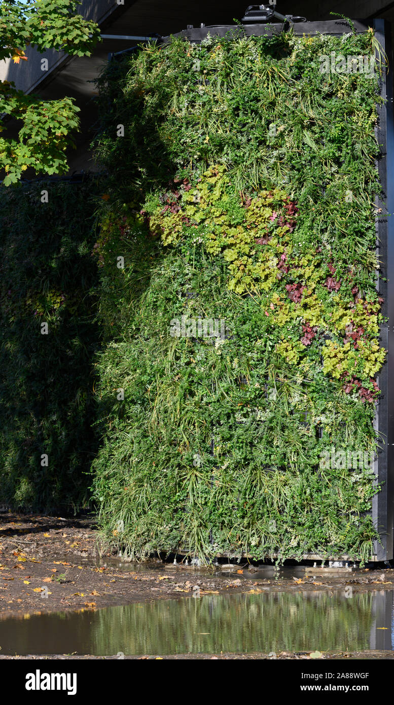 Vertikale Gärten - grüne Wände - Verschmutzung an einem verkehrsreichen Kreisel, Millbrook, Southampton, Hampshire, England, Großbritannien Stockfoto