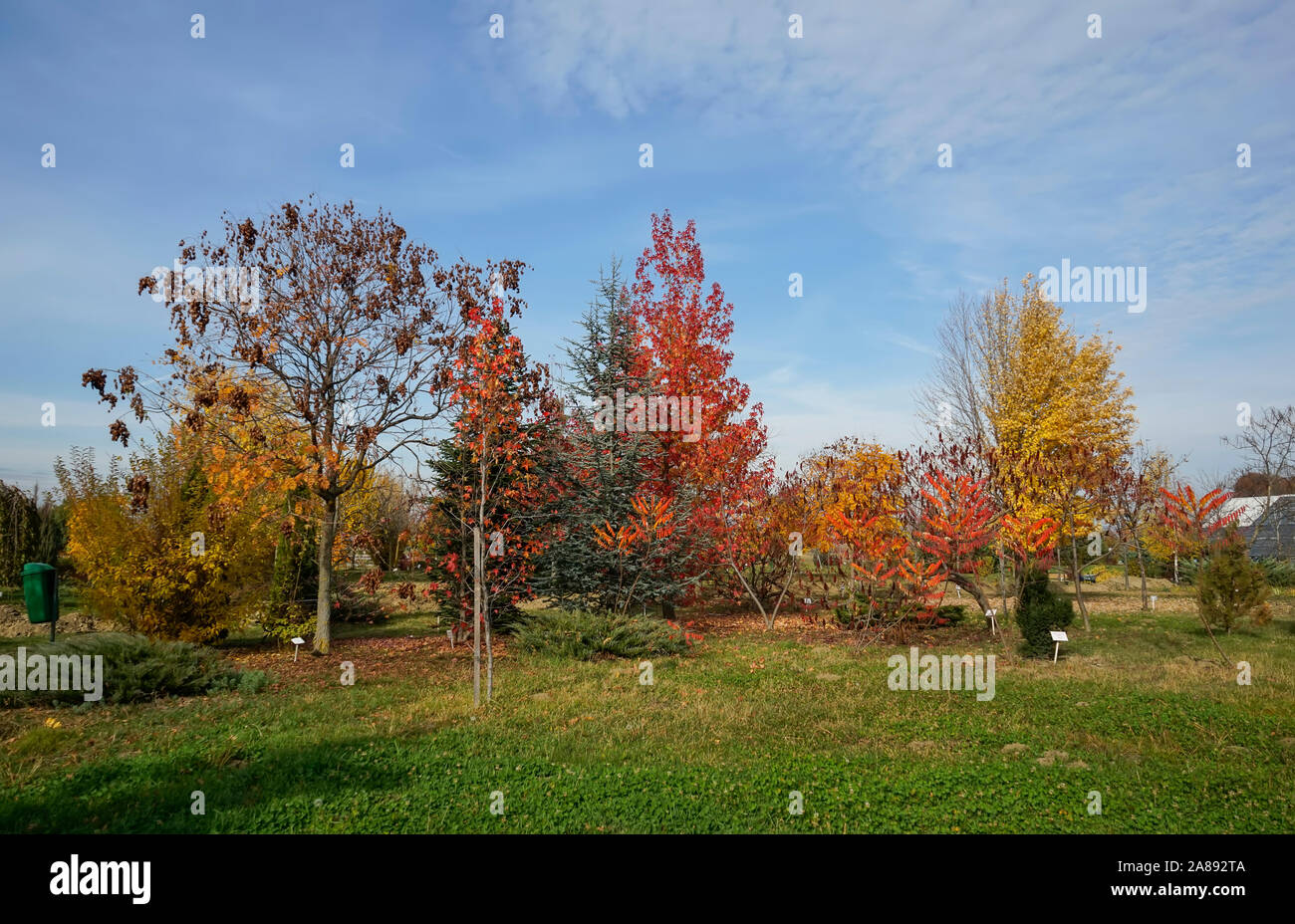 Verschiedene Arten von Bäumen und Sträuchern, die spezifisch für das gemäßigte Klima im Herbst Laub im botanischen Garten in der Nähe von Ploiesti, Rumänien Stockfoto