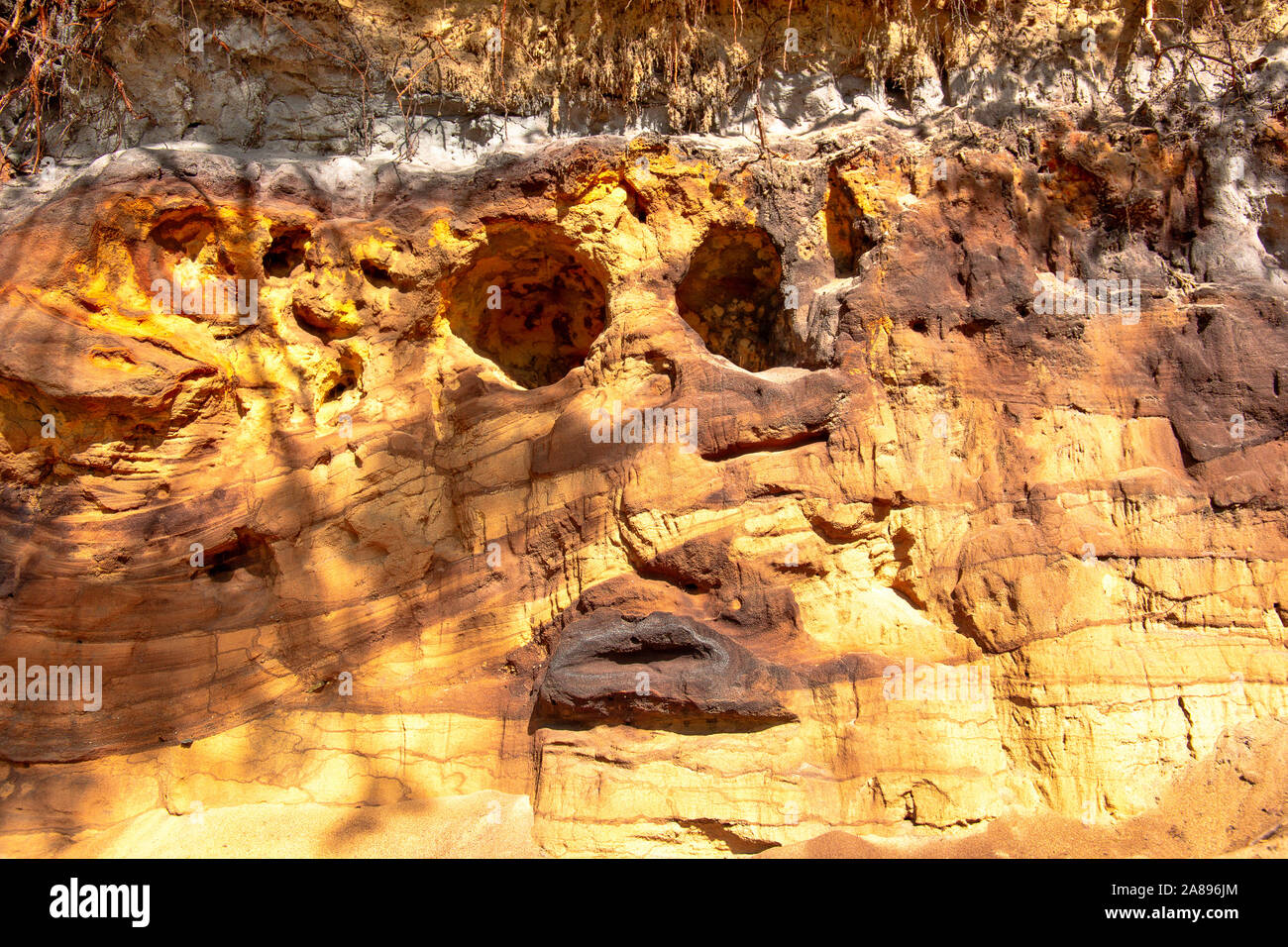 Spodosol oder Podzol überlagert durch eine mittelalterliche schalten Düne im Westen Deutschlands Stockfoto