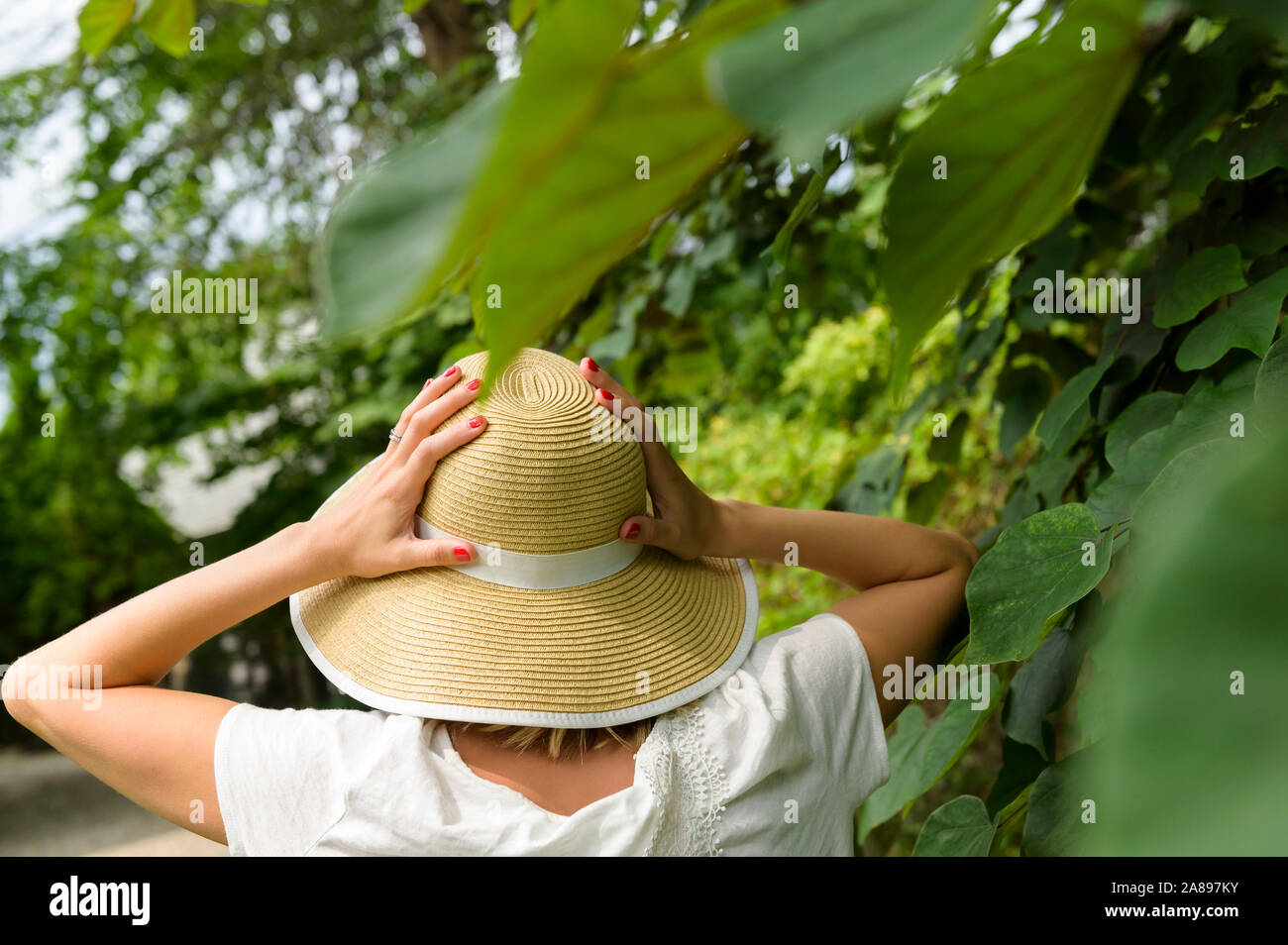 Frau trägt Strohhut bei Bäumen Stockfoto
