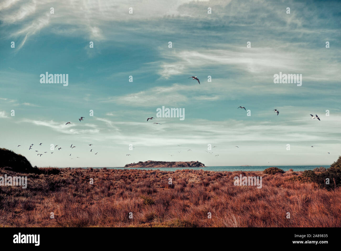 Vögel fliegen über Stoßzäpfchen von Victor Harbor, South Australia, Australien Stockfoto