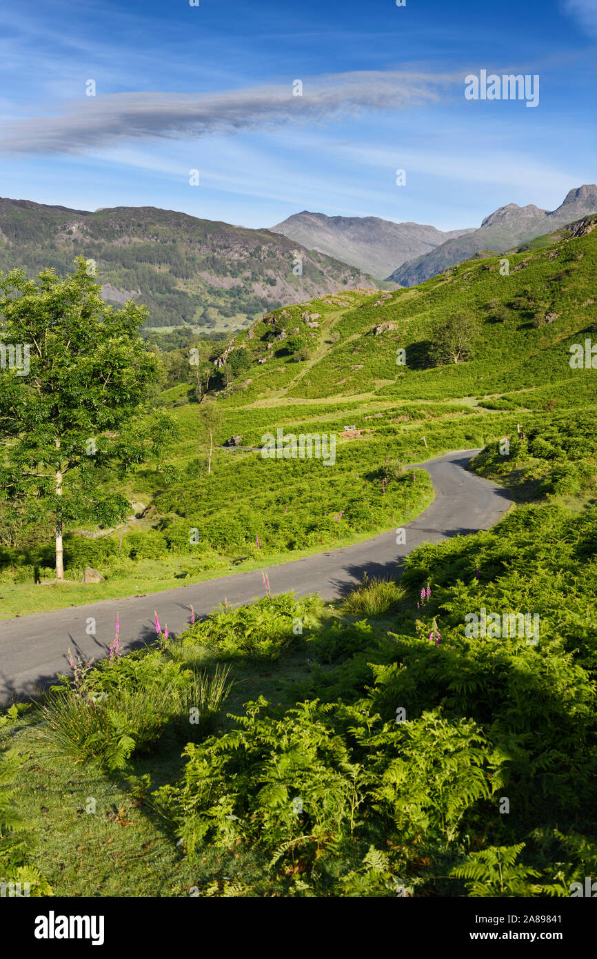 Cumbrian Peaks von Red Bank side road Elterwater zu Harrison Stickle Berg Lake District National Park England suchen Stockfoto