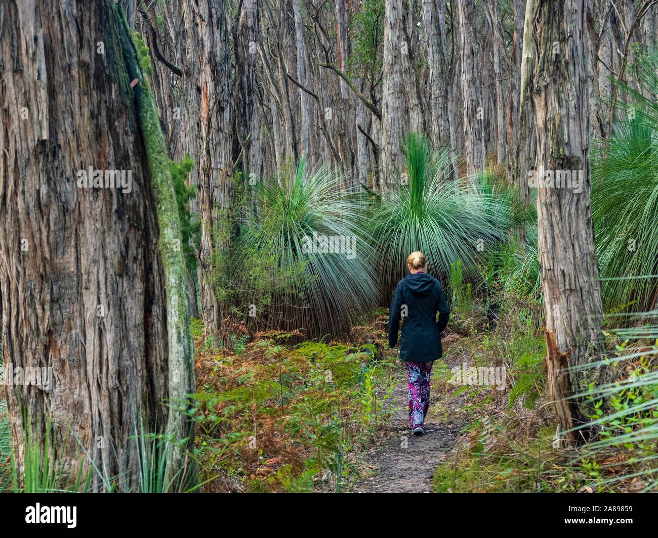 Frau, die im Wald in South Australia, Australien, spazierengeht Stockfoto