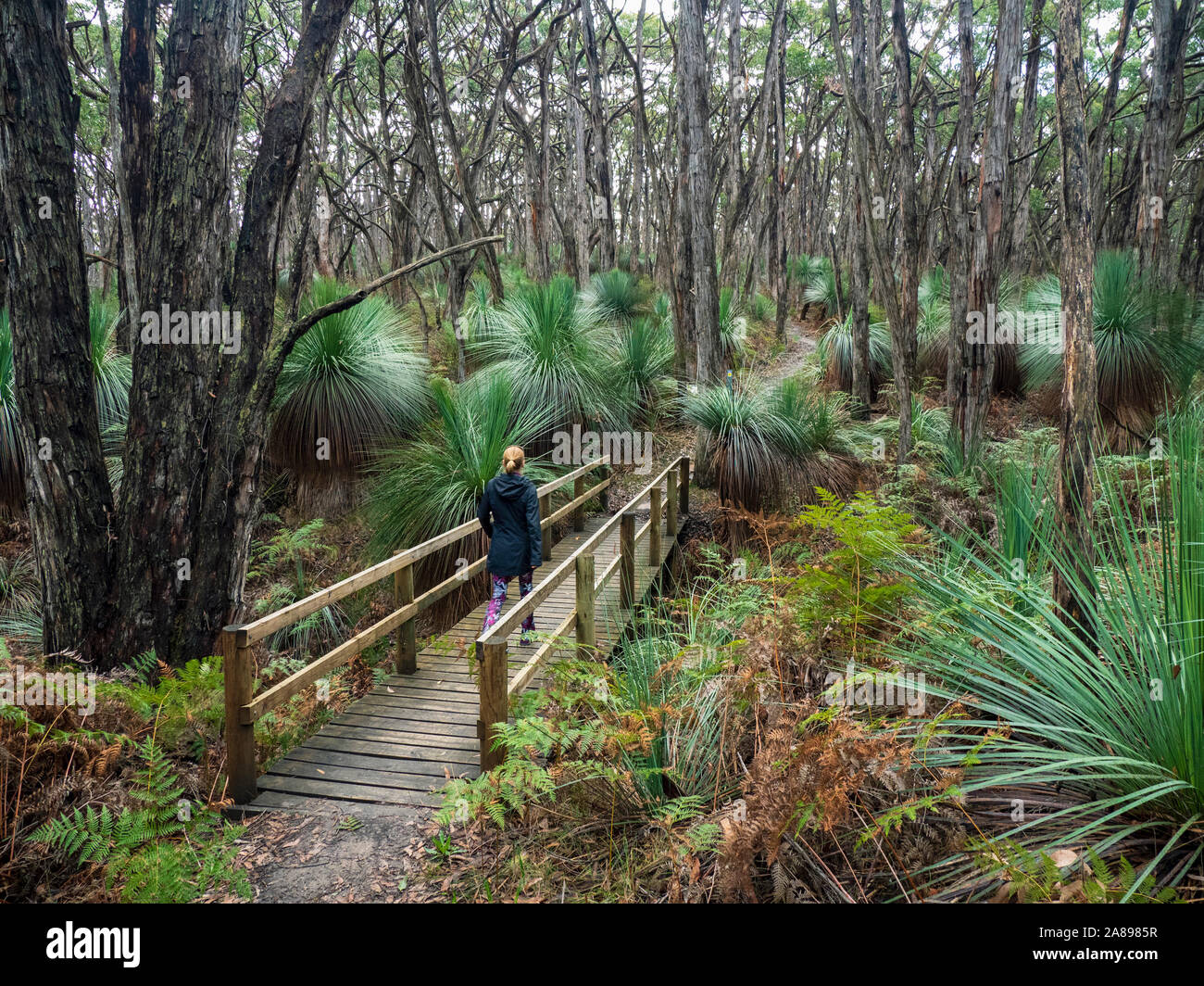 Frau, die auf einer Brücke im Wald in Südaustralien, Australien, läuft Stockfoto