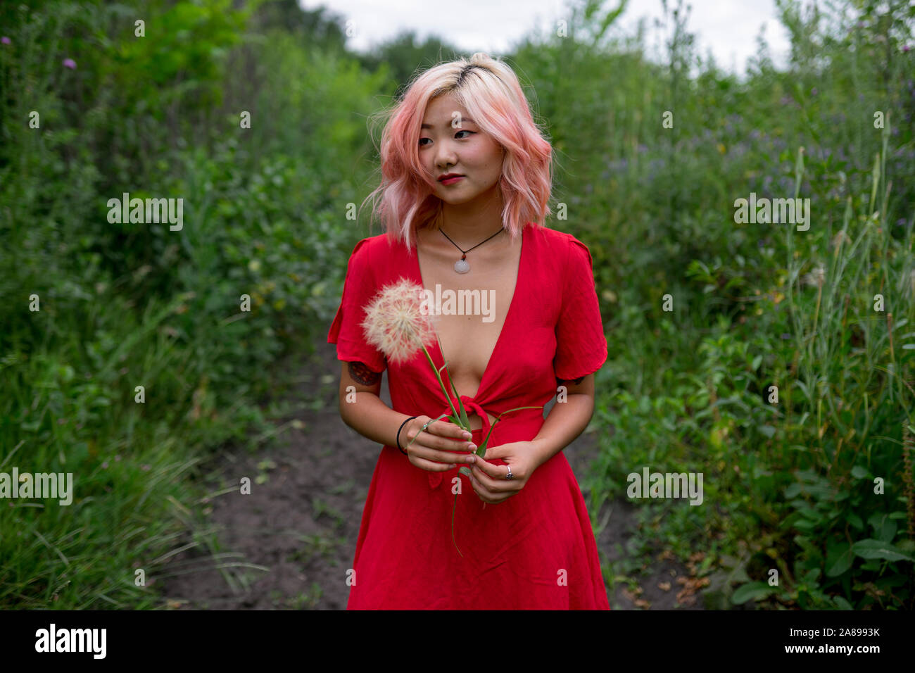 Junge Frau trägt rotes Kleid mit Samenkopf Stockfoto