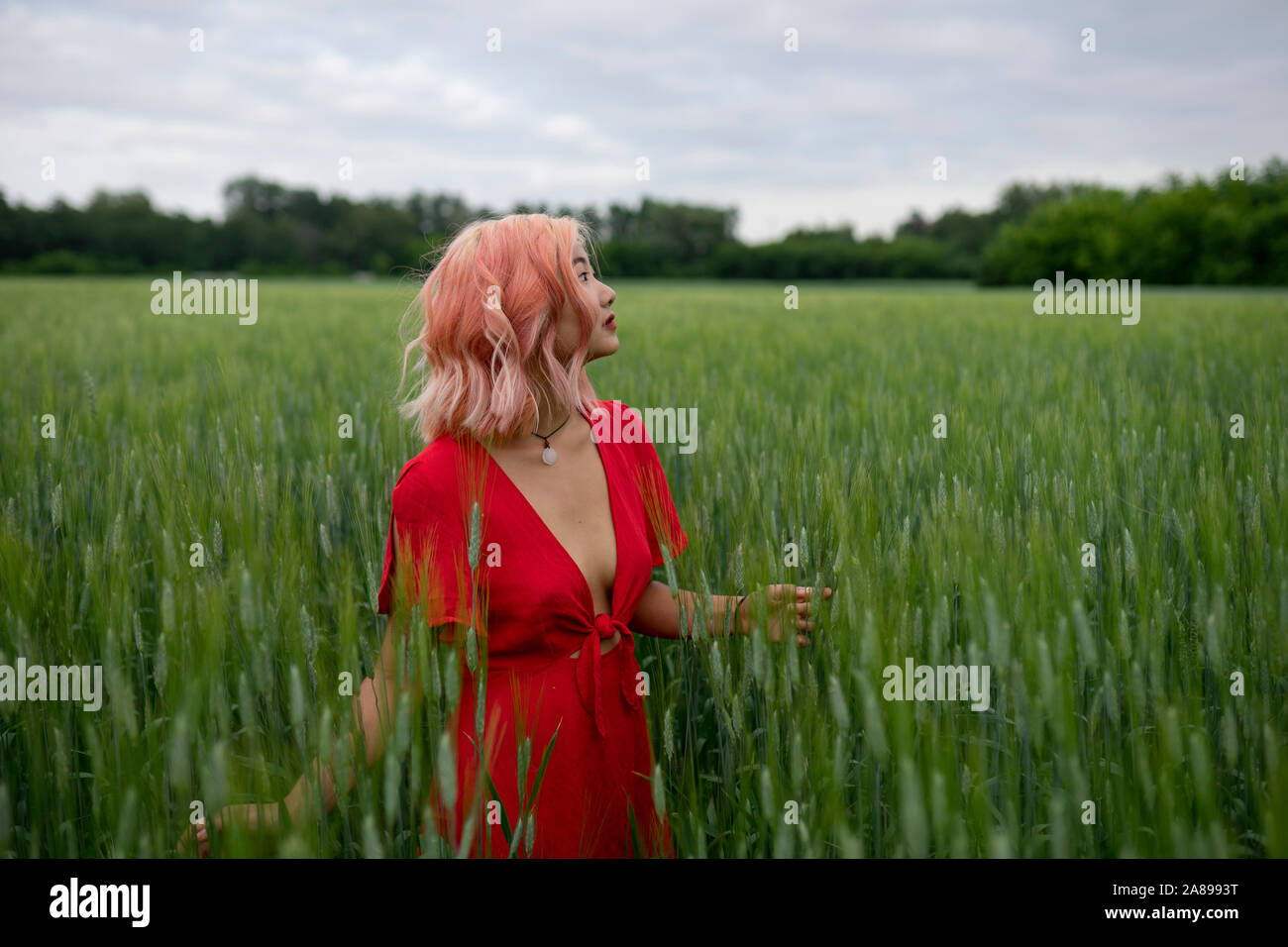 Frau mit rosa Haaren trägt rotes Kleid in Weizenfeld Stockfoto