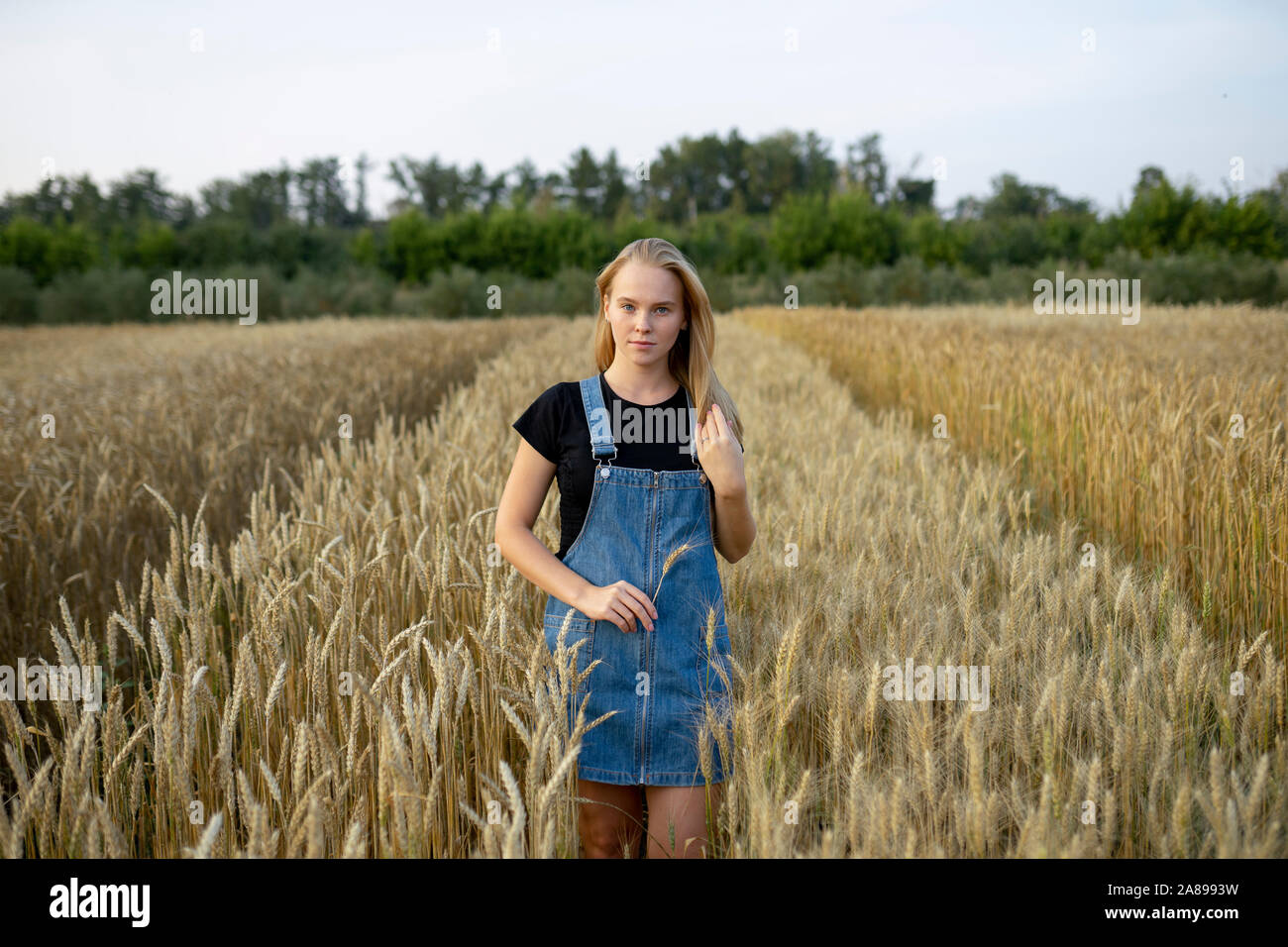 Junge Frau trägt Overall Kleid in Weizenfeld Stockfoto