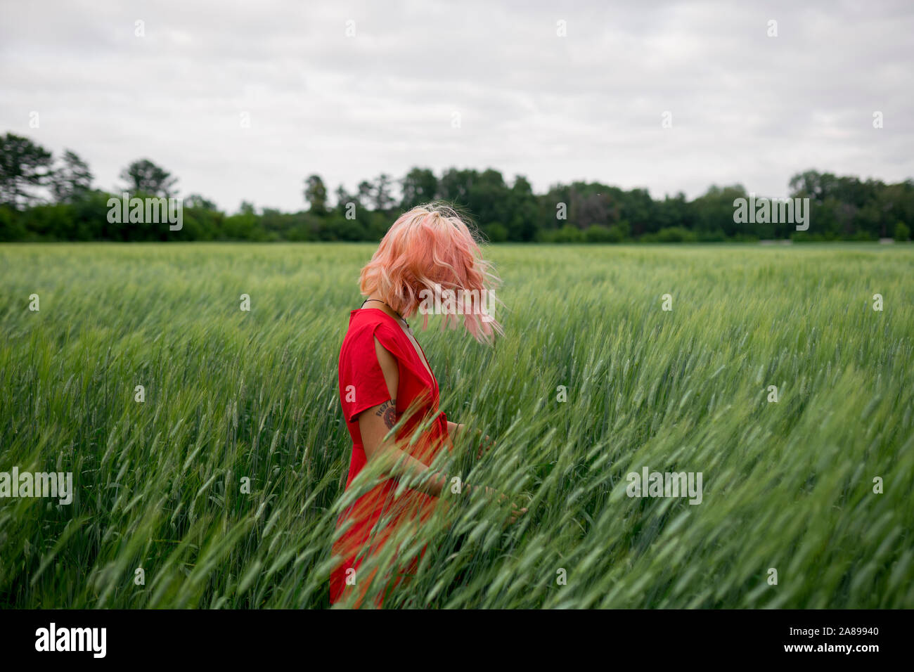 Frau mit rosa Haaren trägt rotes Kleid in Weizenfeld Stockfoto
