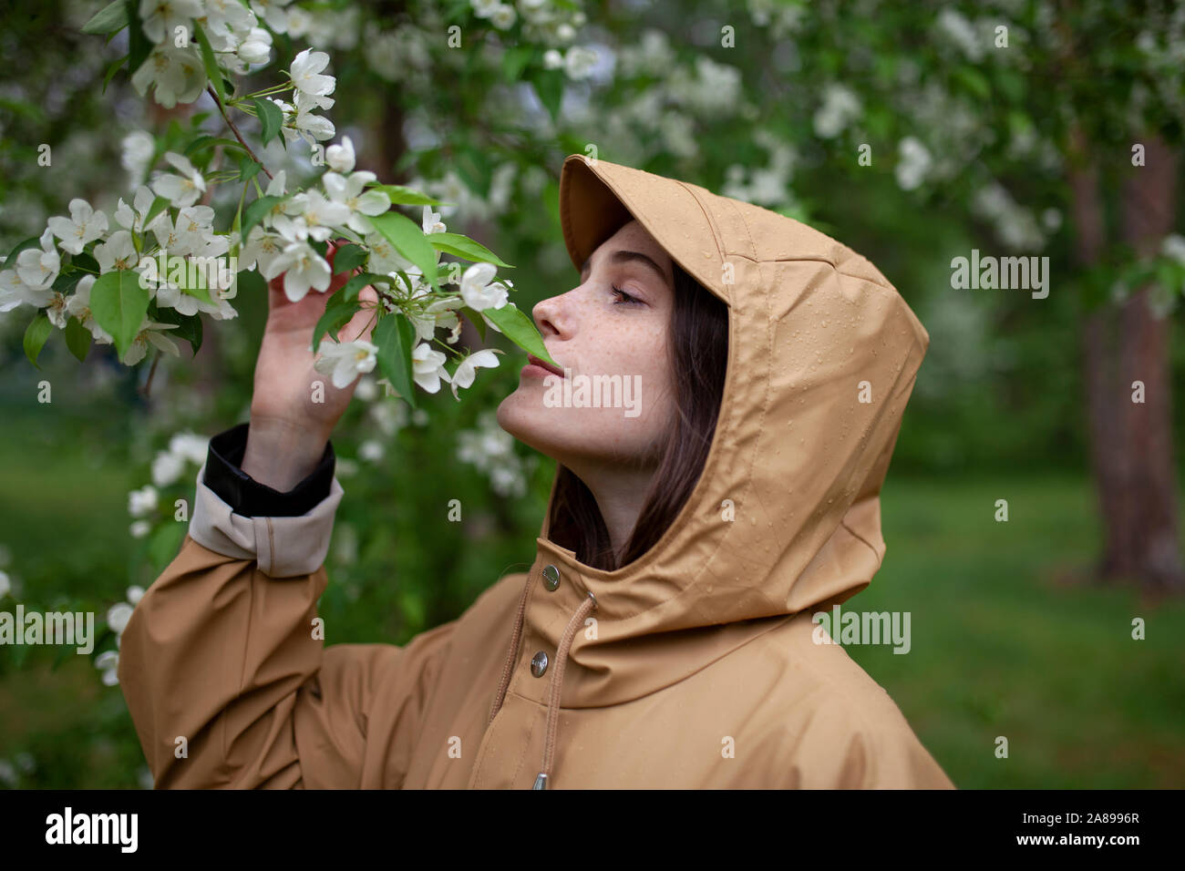 Junge Frau trägt braunen Regenmantel schnüffelnd Blume Stockfoto