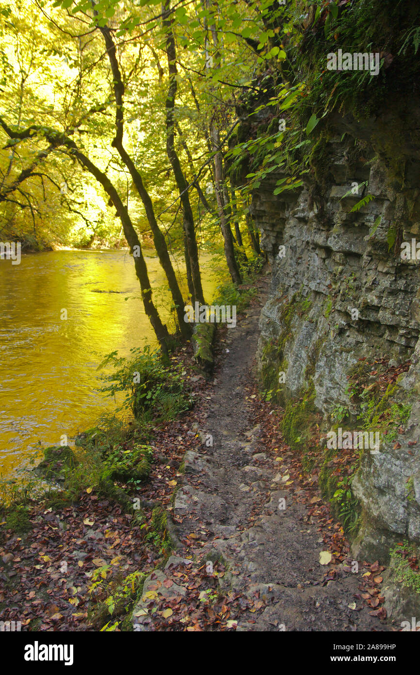 Magische Licht in Wutach Wutachschlucht (Canyon), Herbst, Schwarzwald, Deutschland Stockfoto