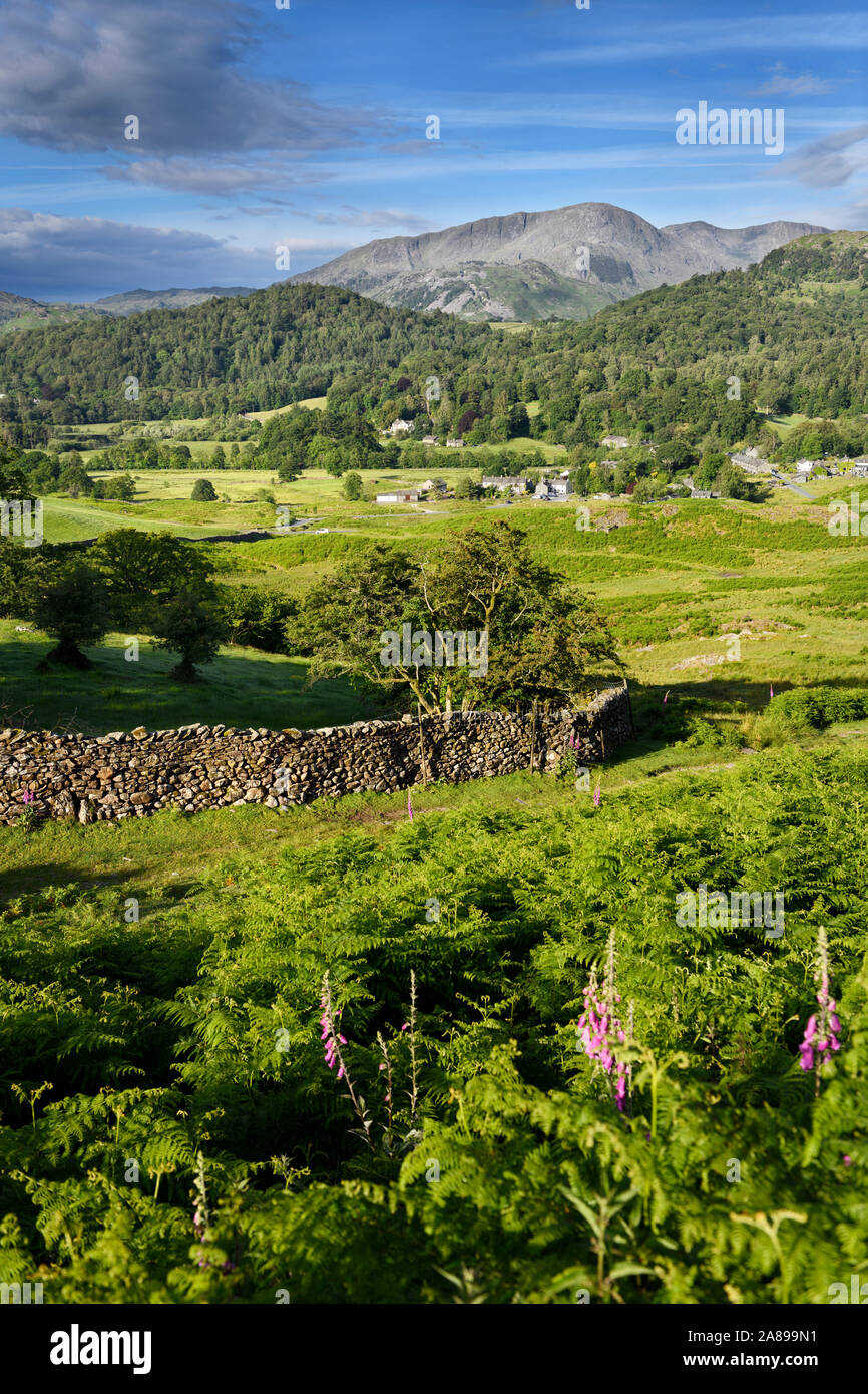 Elterwater Dorf und Wetherlam und große Carrs Peaks Cumbrian Mountains mit Trockenmauern Zaun und Adlerfarn im Lake District, England Stockfoto