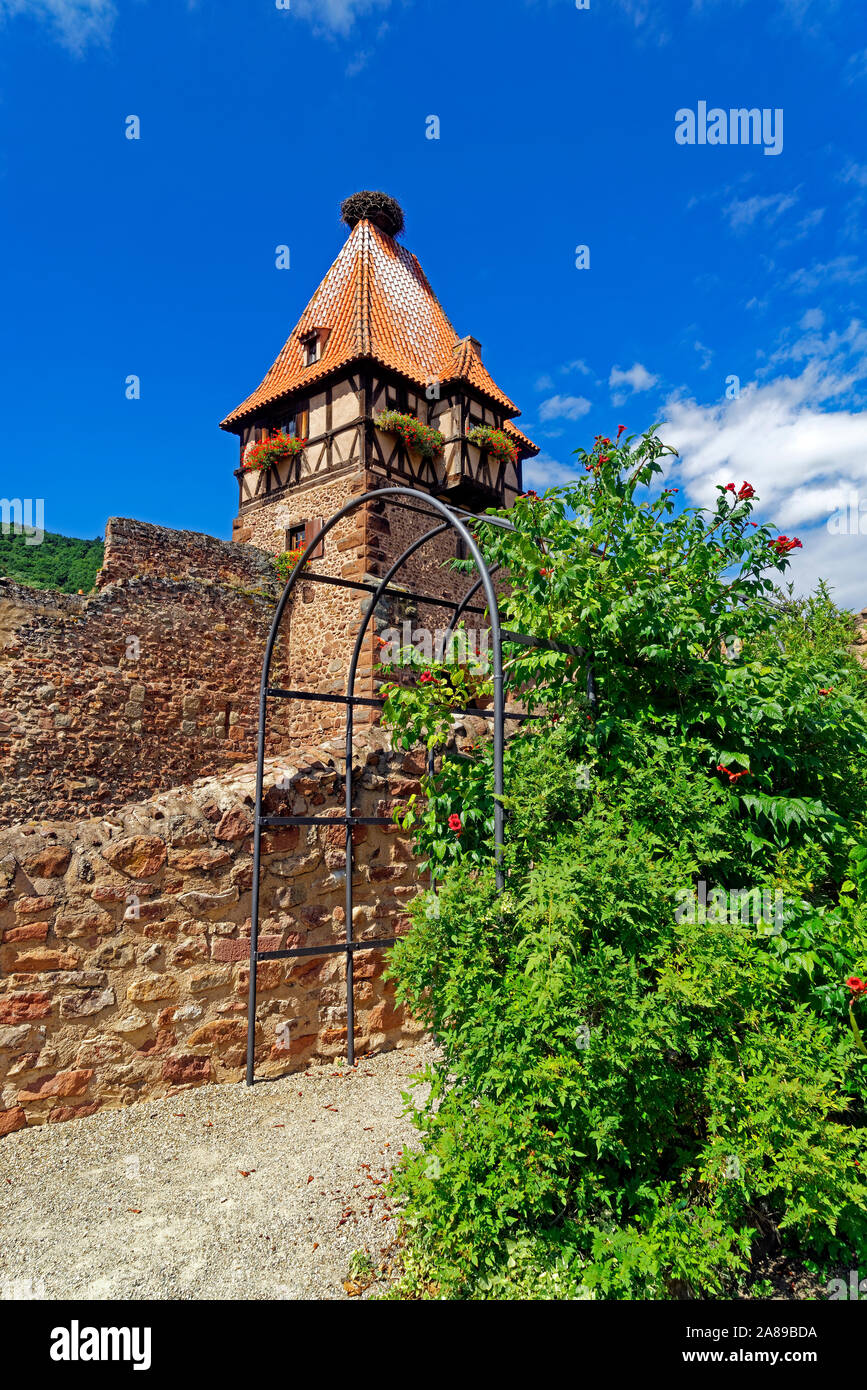 Stadttor, tour des Sorcières, erbaut 1402, Stadtmauer, Garten, Jardin