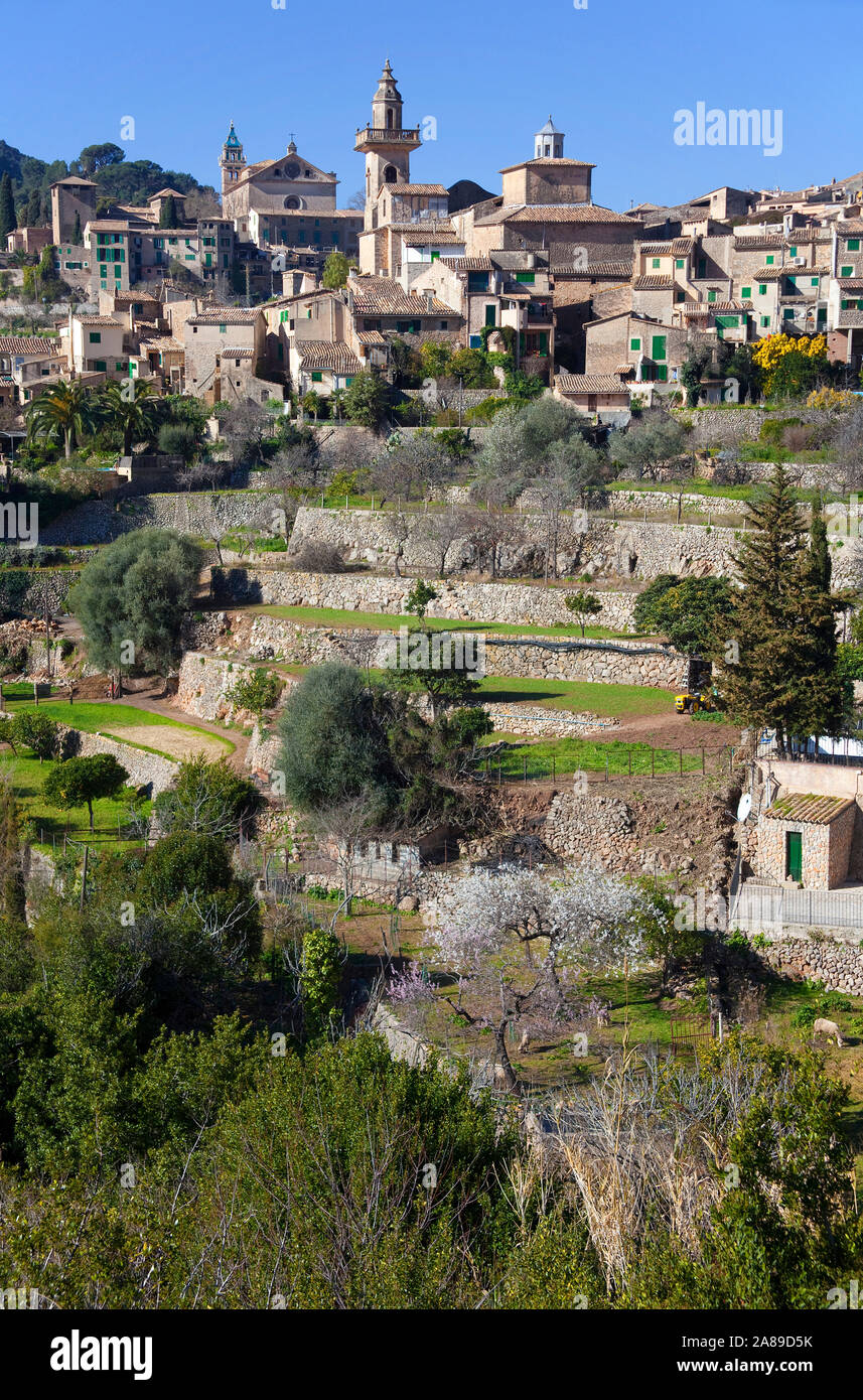 Das Bergdorf Valldemossa, Kirche Saint Bartomeu, hinter der Kartause, Region Comarca, Serra de Tramuntana, auf Mallorca, Spanien Stockfoto