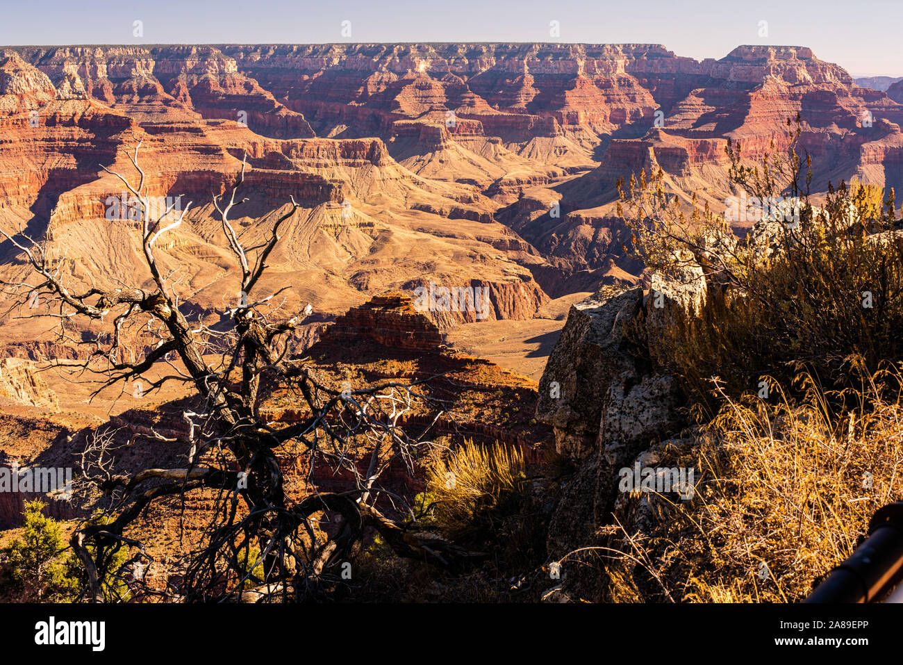 Grand Canyon Arizona mehrere Anzeigen von Punkten mit hoher Auflösung. Stockfoto