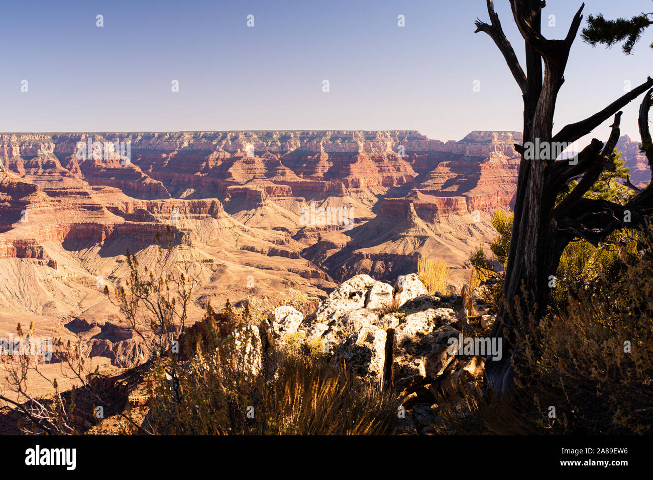 Grand Canyon Arizona mehrere Anzeigen von Punkten mit hoher Auflösung. Stockfoto