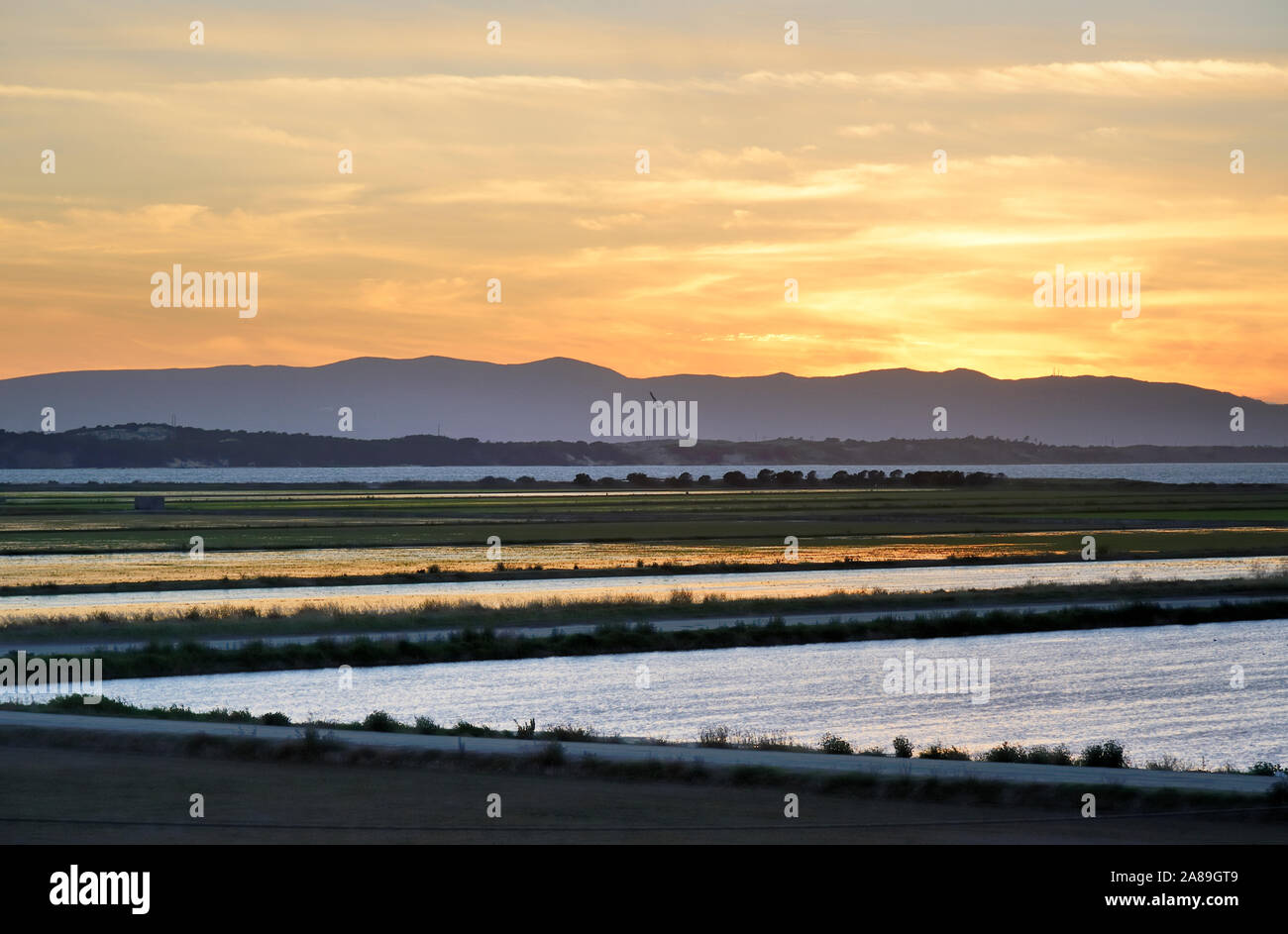 Reisfelder Comporta. Am Horizont der Arrábida Mountain Range. Alentejo, Portugal Stockfoto