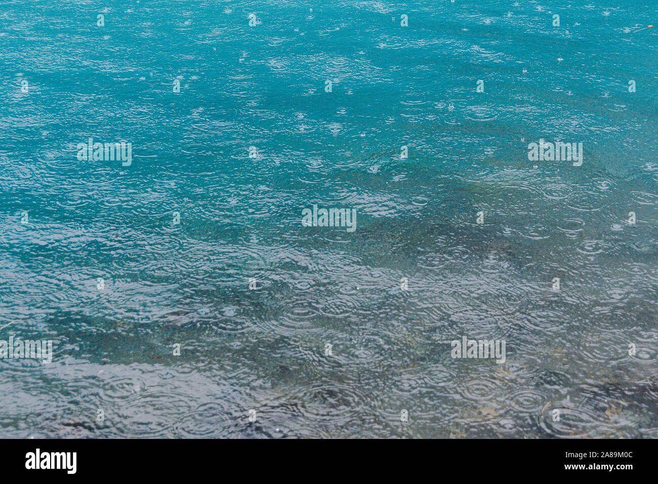 Regentropfen auf der Wasseroberfläche des Sees. Das türkisfarbene Wasser des Flusses. Regnerische Wetter auf See Stockfoto